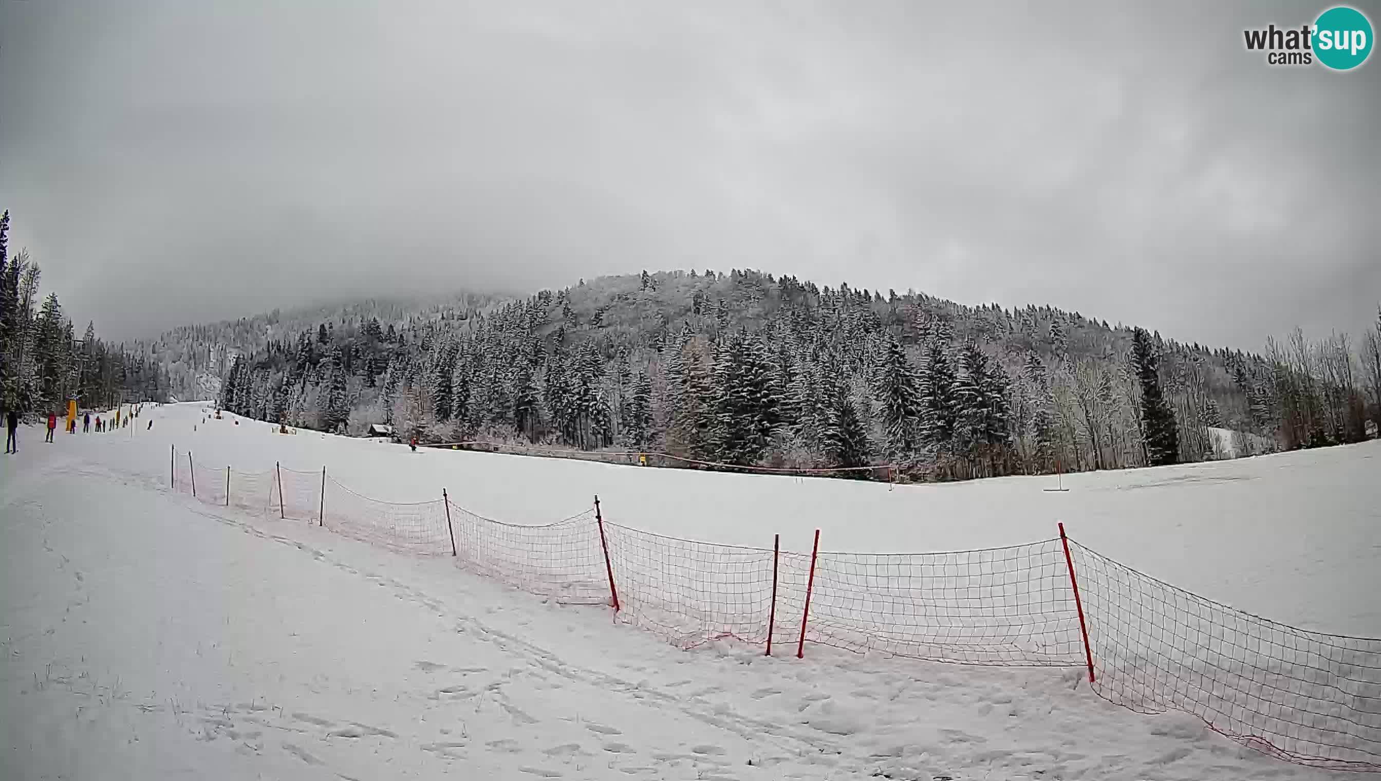 Kranjska Gora SKIJANJE | Brsnina