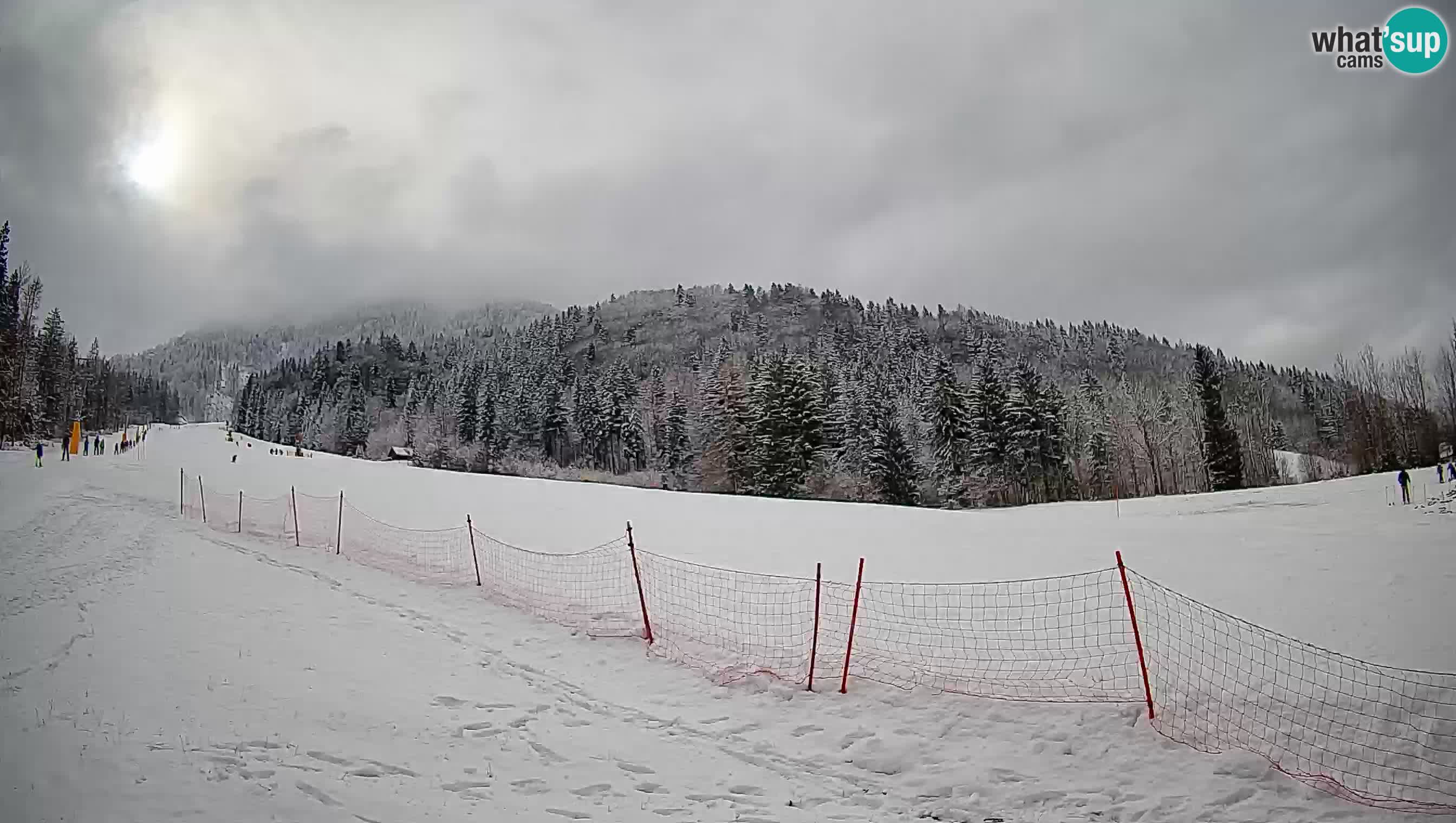 Kranjska Gora Station de ski | Brsnina