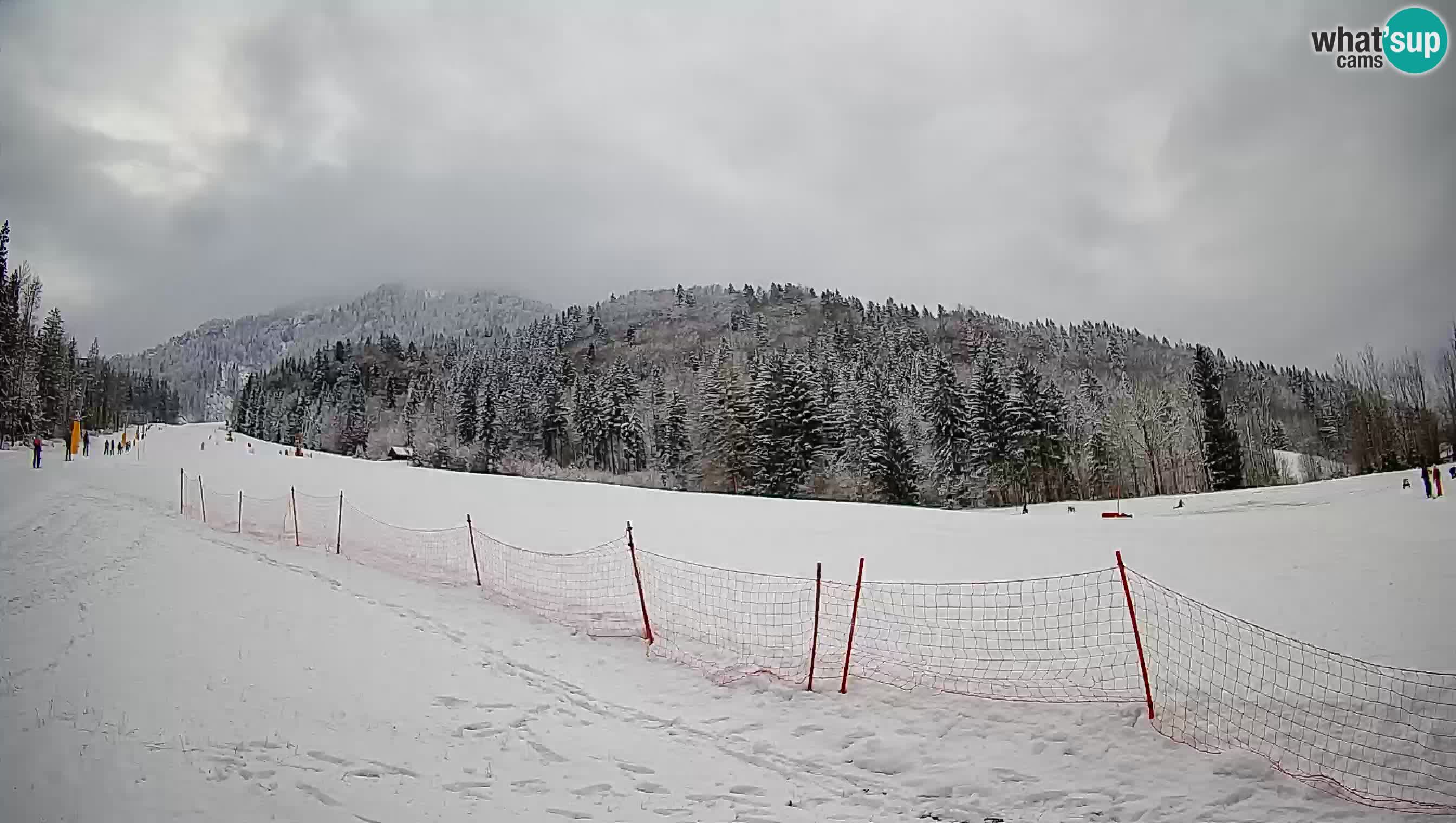 Ski Kranjska Gora | Brsnina