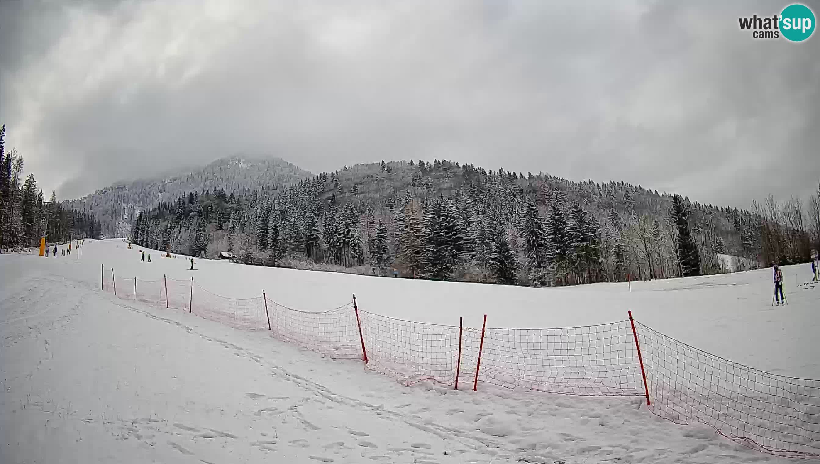 Kranjska Gora SKIJANJE | Brsnina