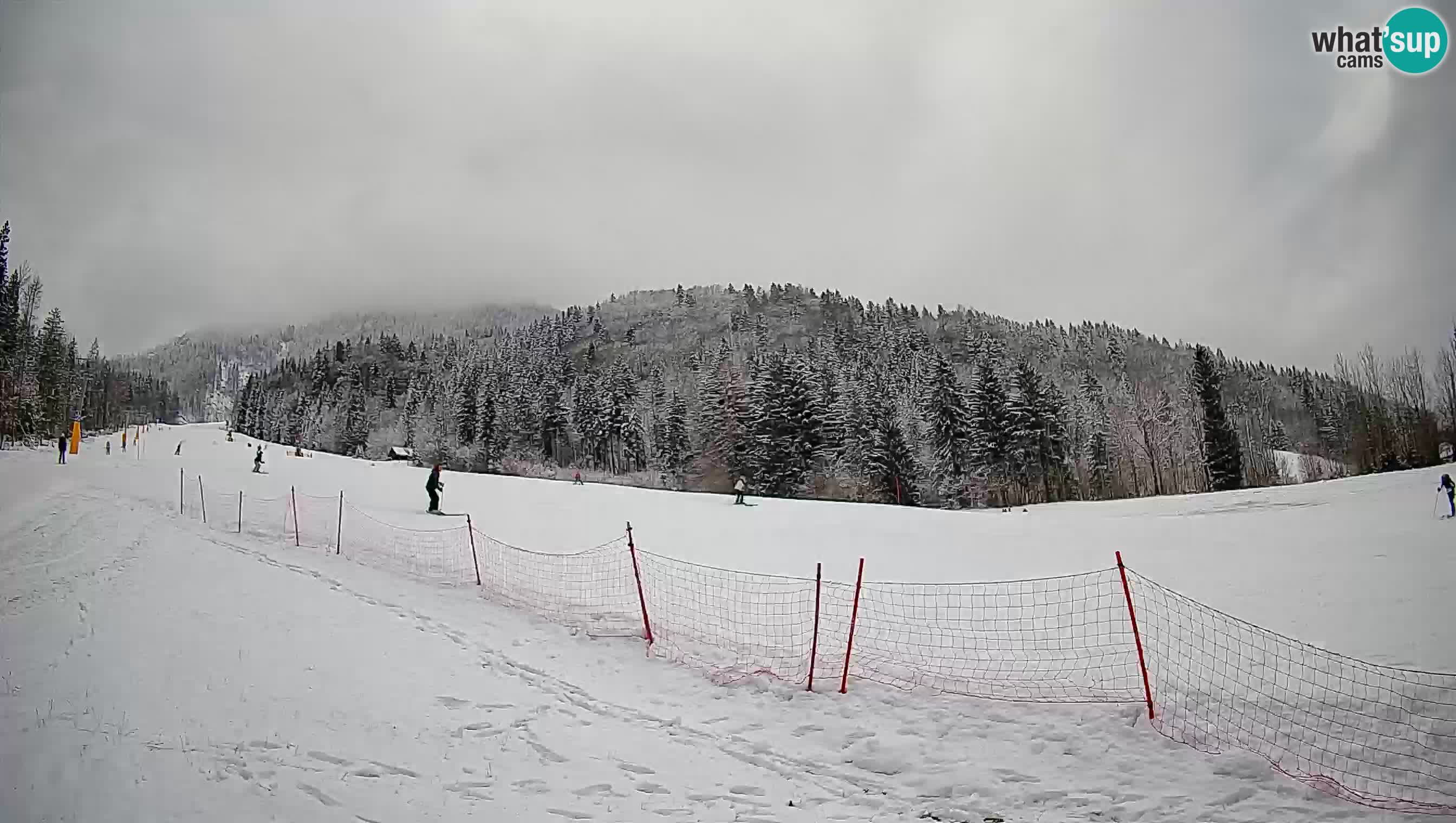 RTC Kranjska Gora | Brsnina