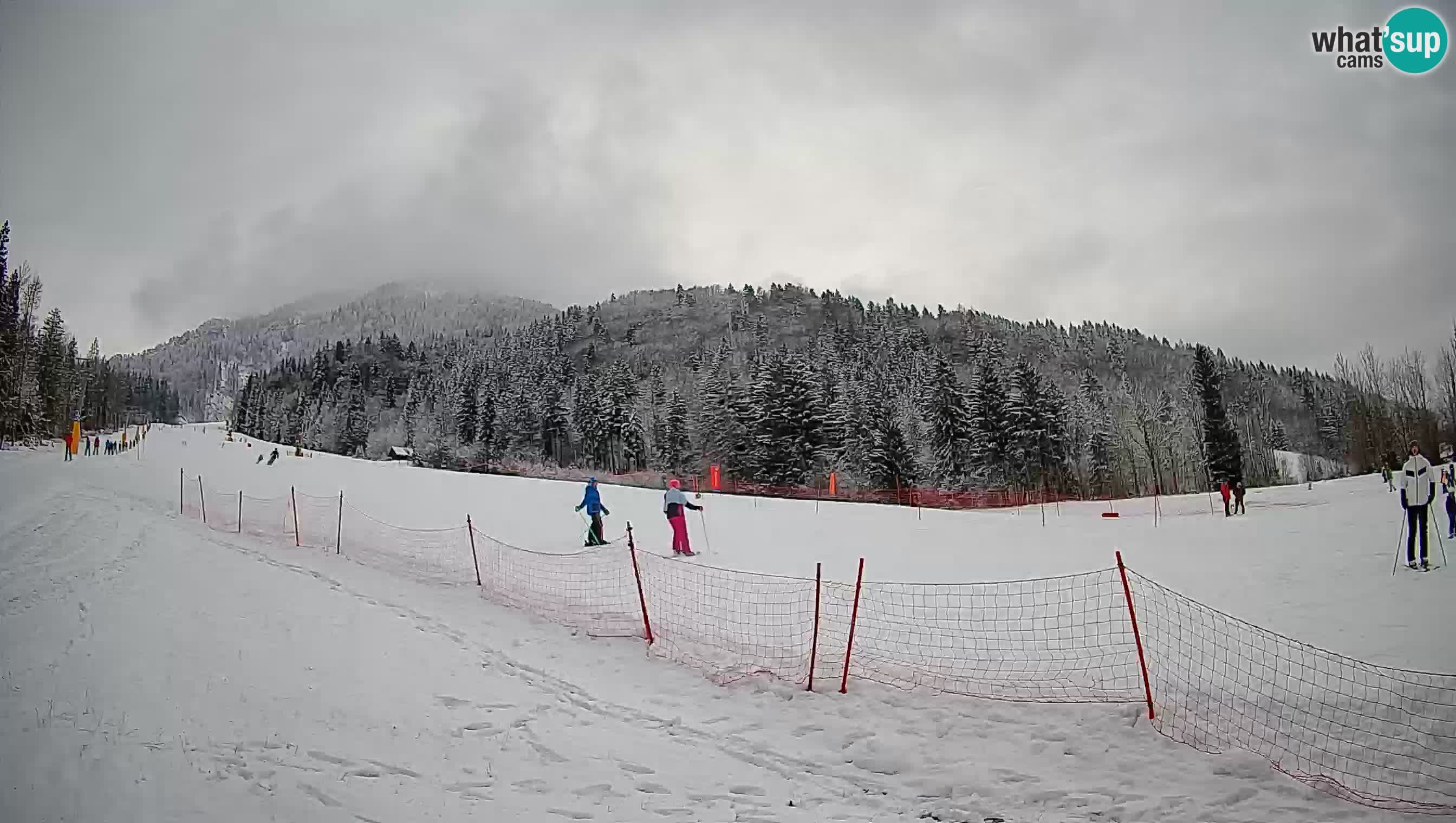 Ski Kranjska Gora | Brsnina