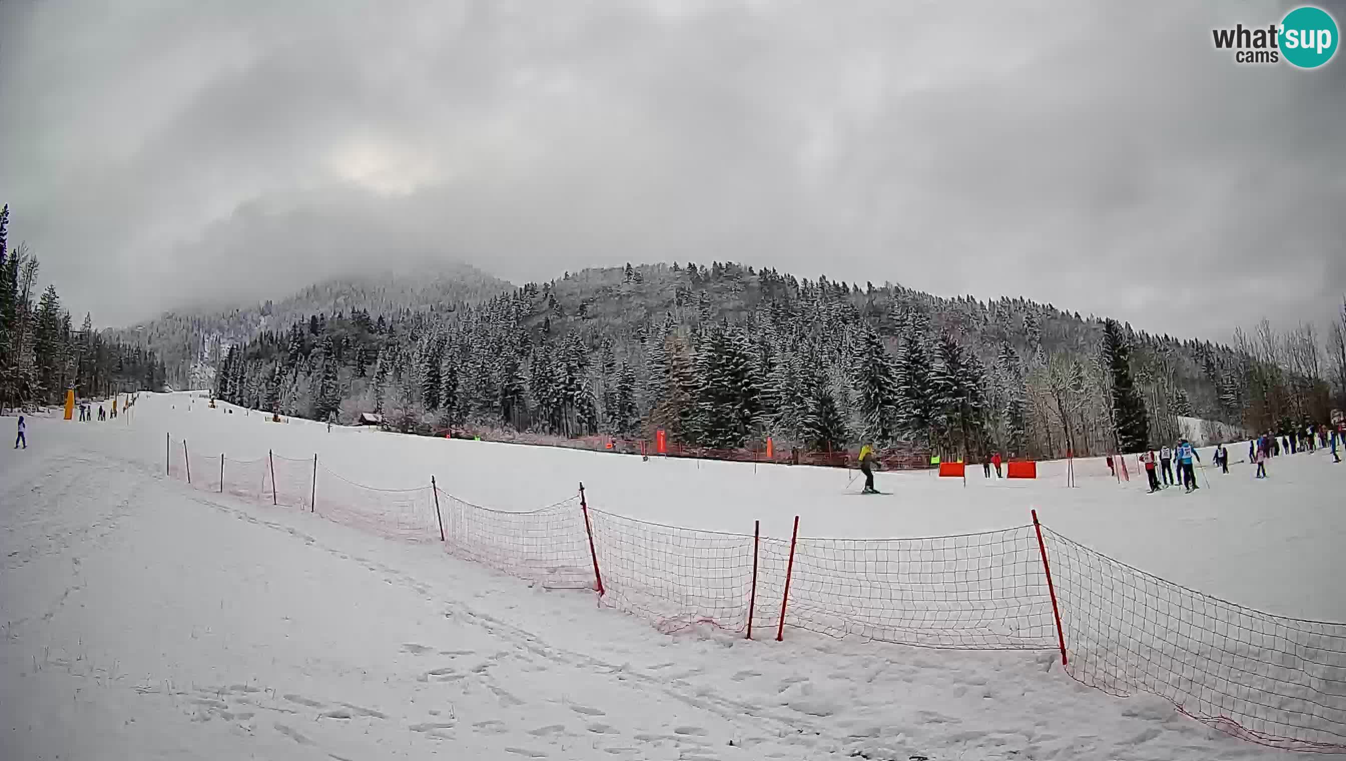 RTC Kranjska Gora | Brsnina