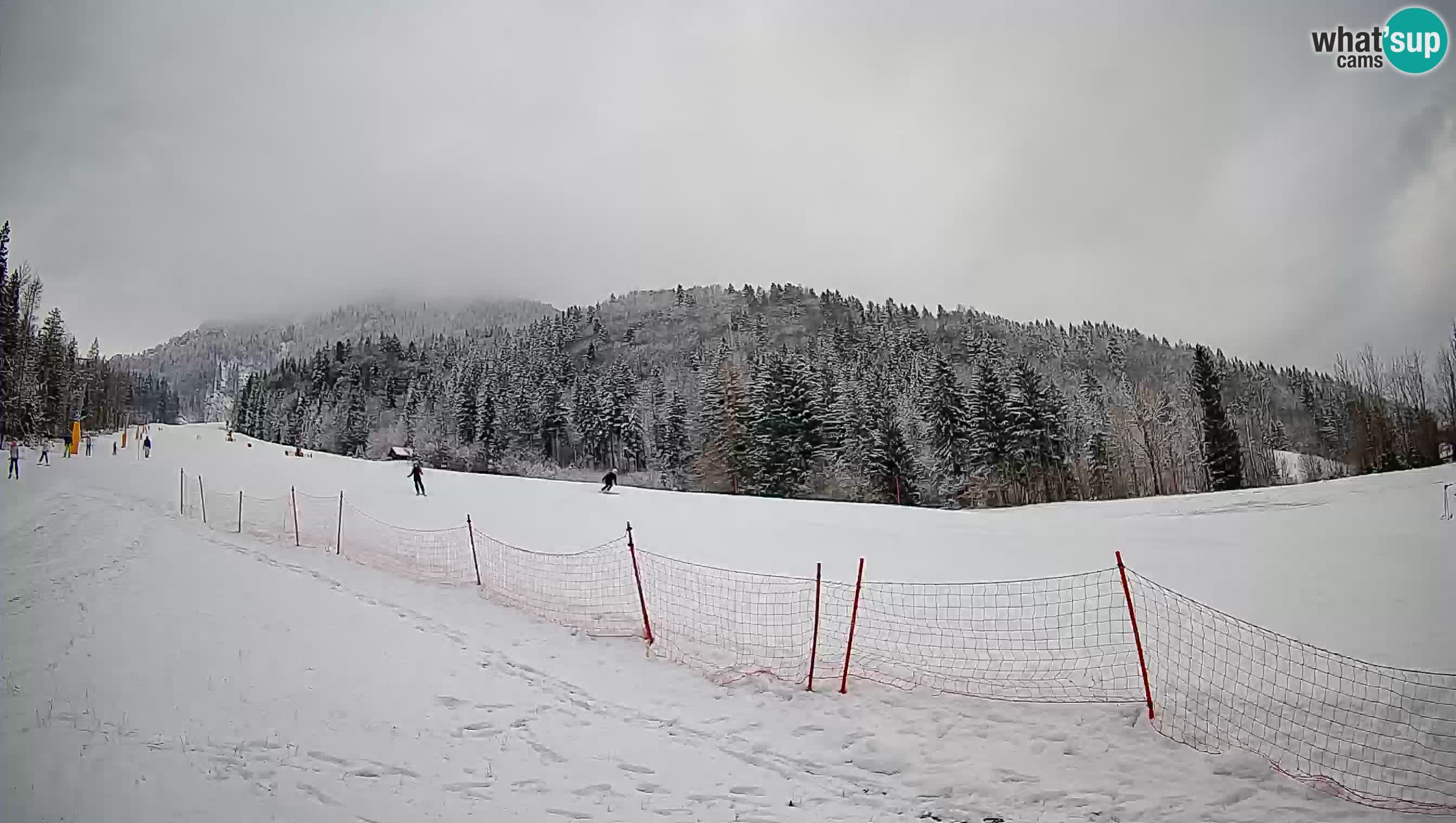 RTC Kranjska Gora | Brsnina