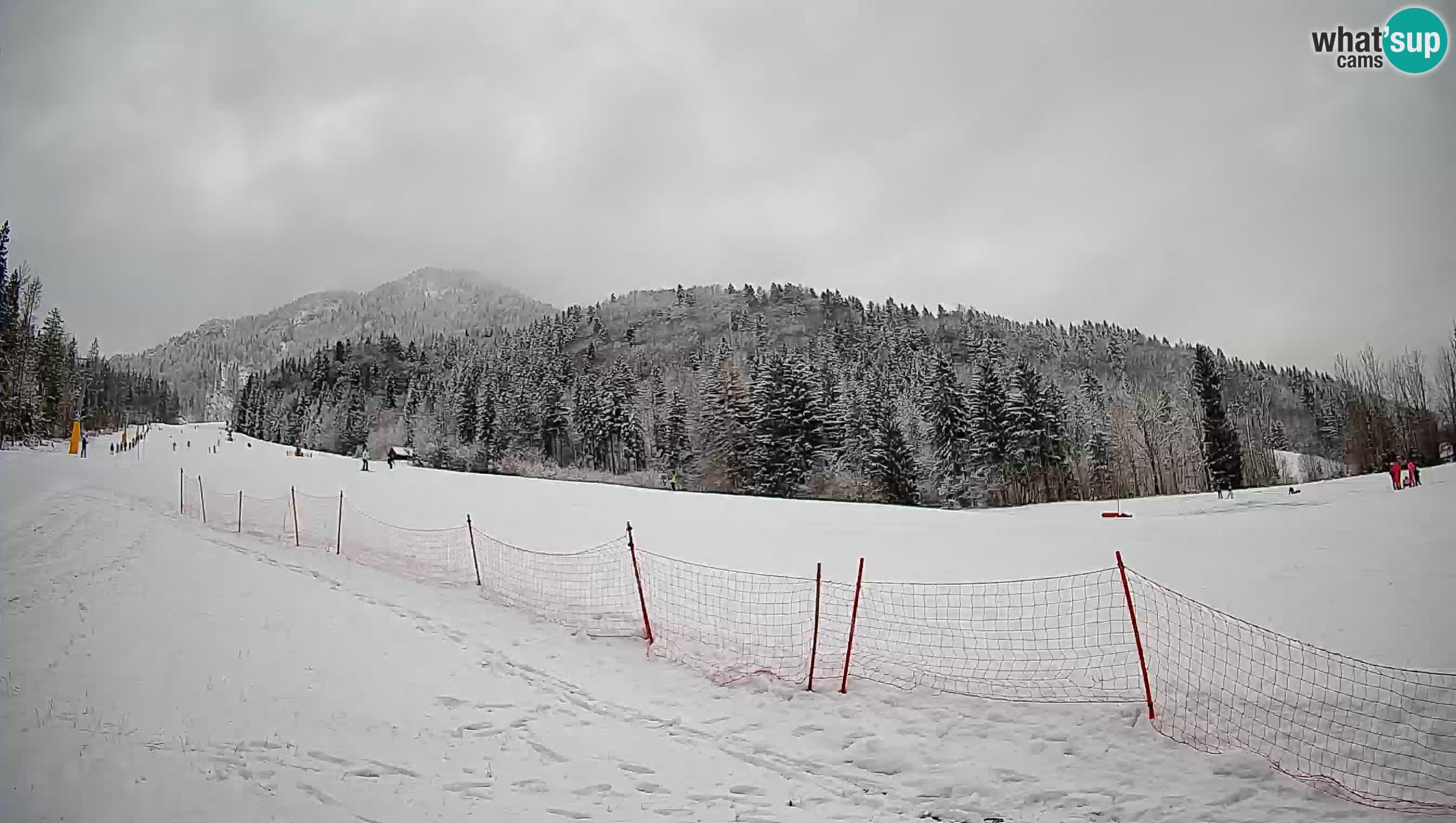 Kranjska Gora SKIJANJE | Brsnina