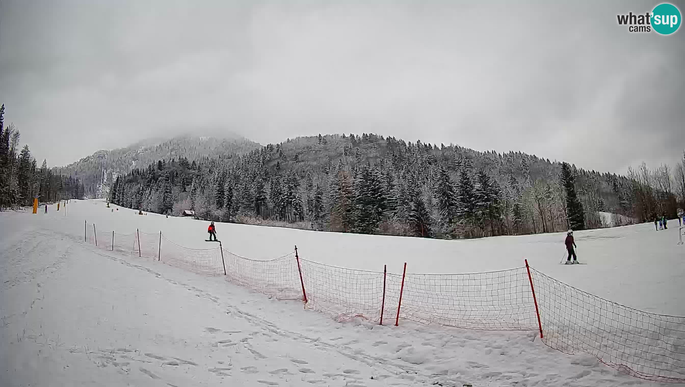 Kranjska Gora Station de ski | Brsnina