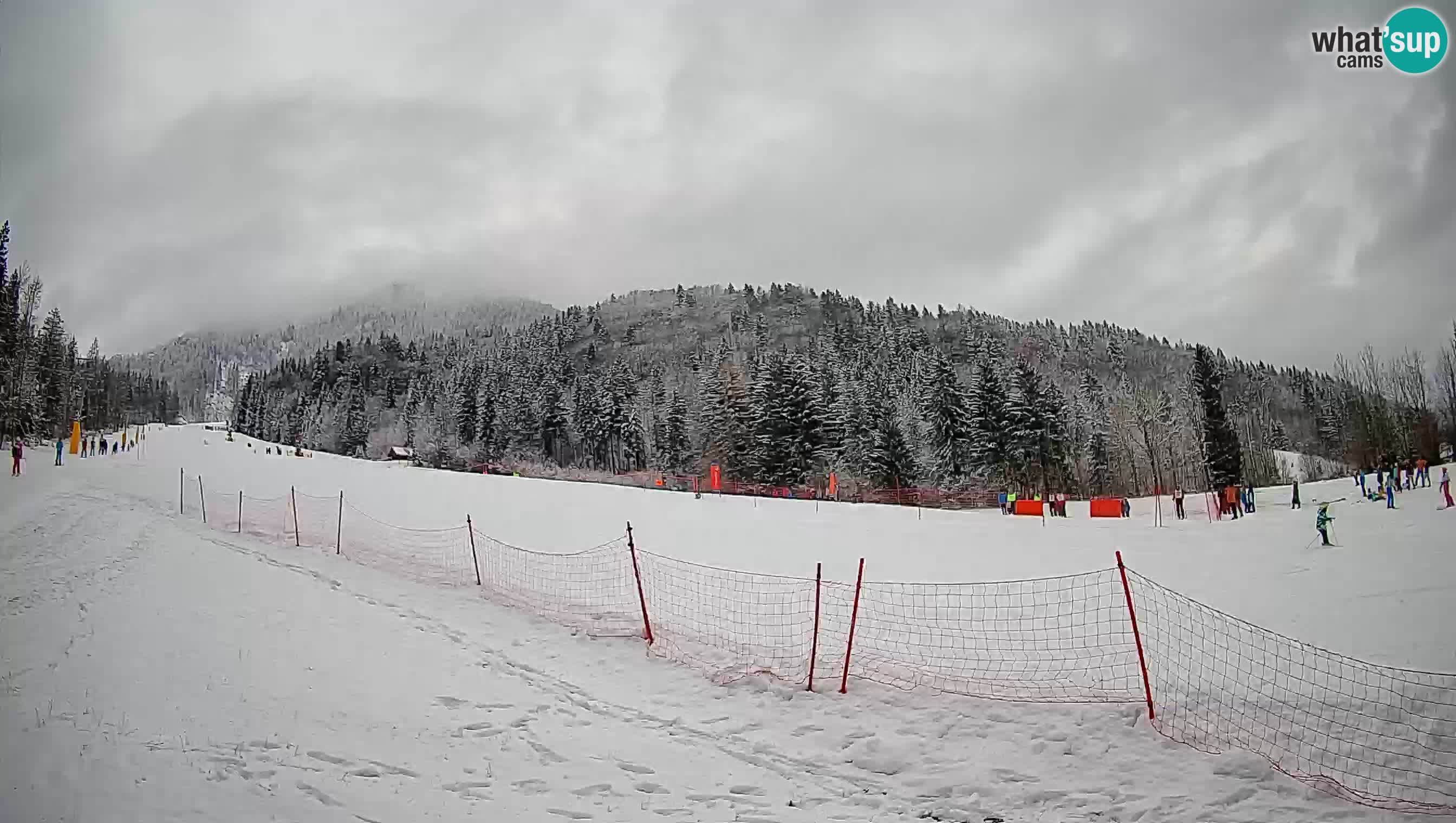 Kranjska Gora Station de ski | Brsnina