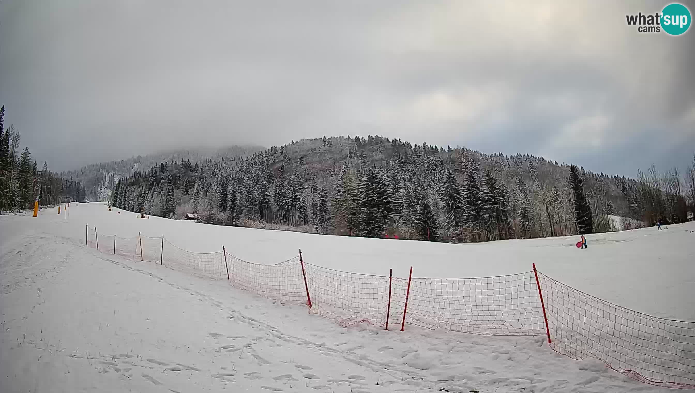 Kranjska Gora SKIJANJE | Brsnina