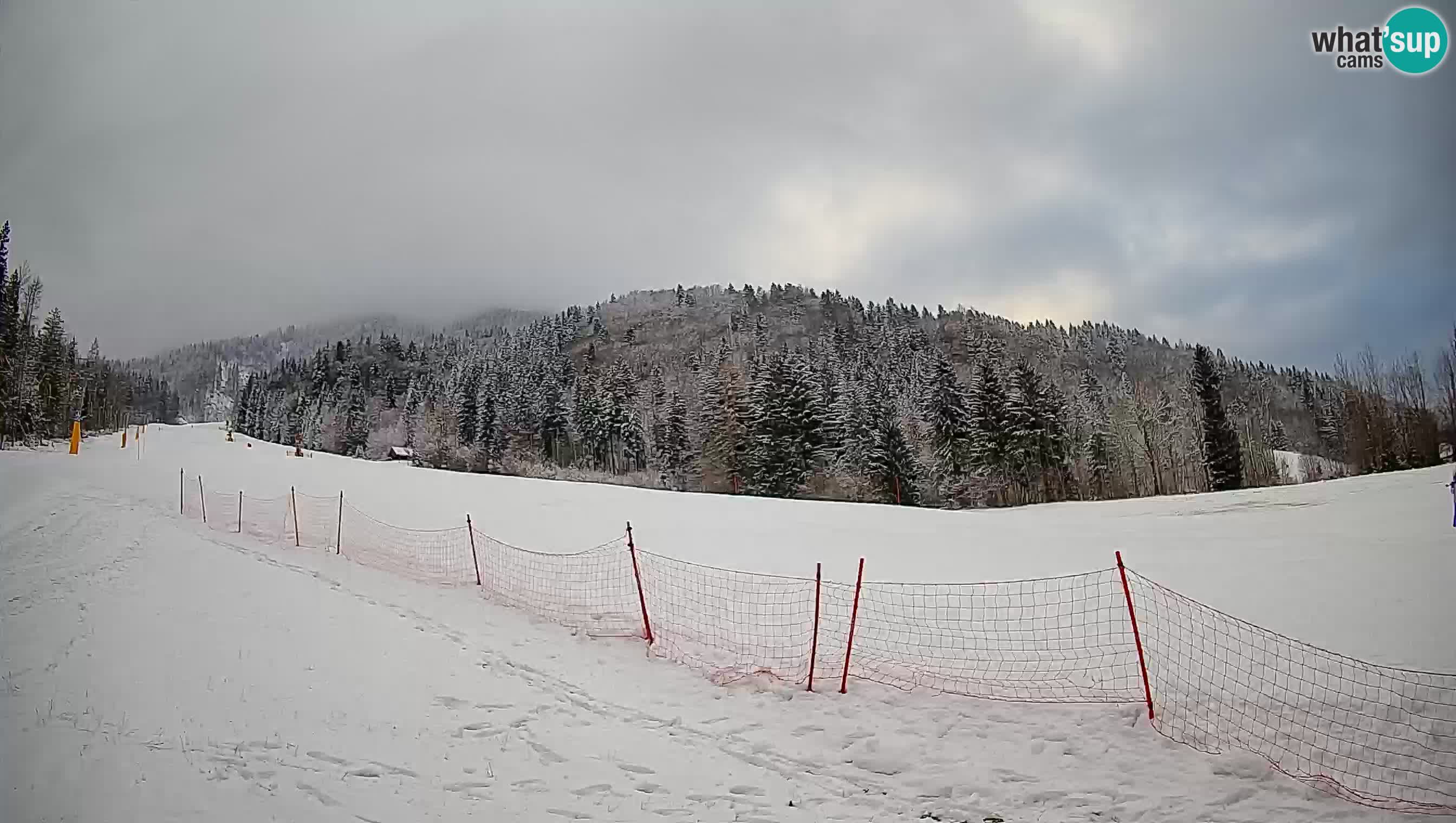 Ski Kranjska Gora | Brsnina