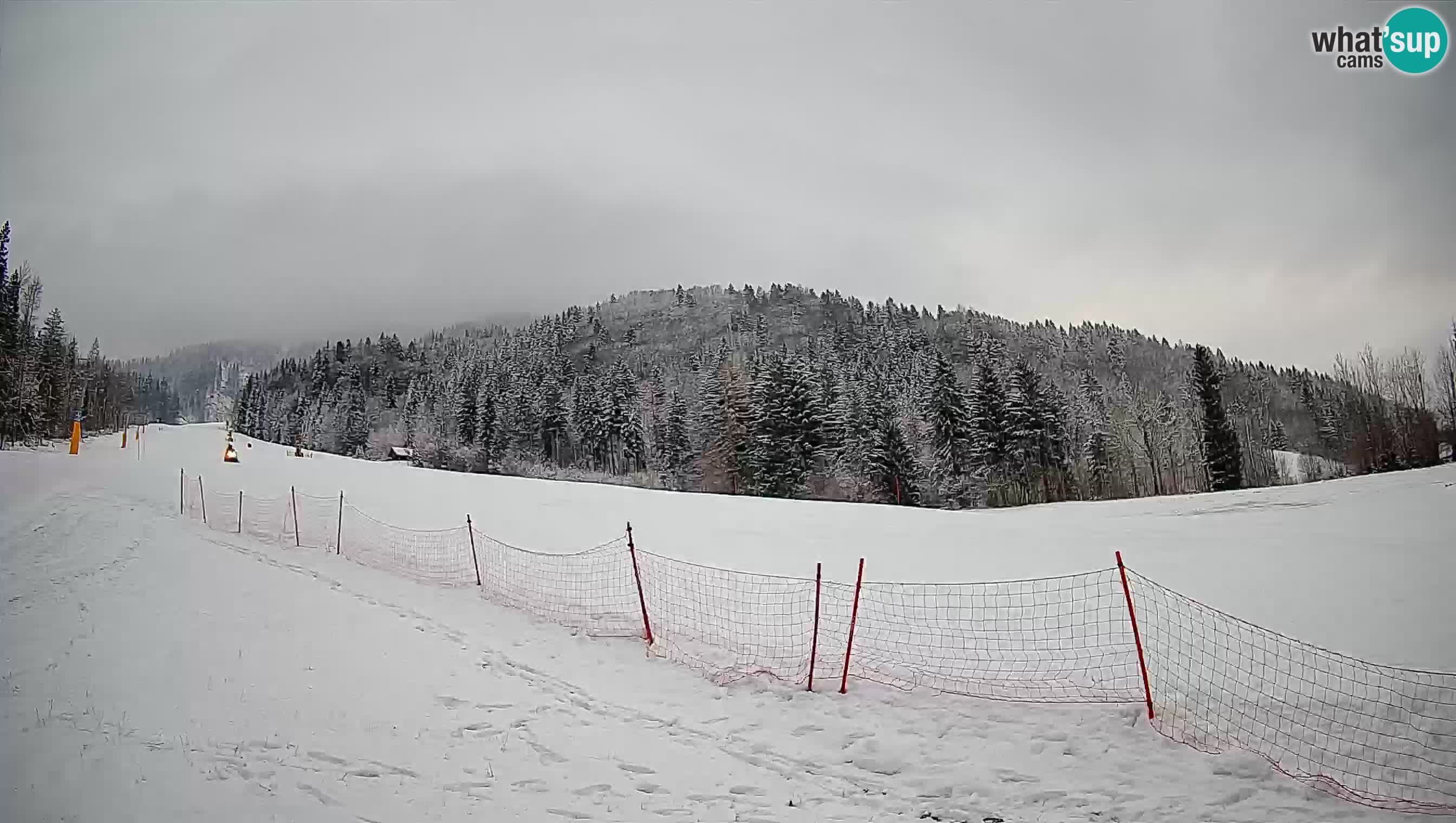 Kranjska Gora Station de ski | Brsnina