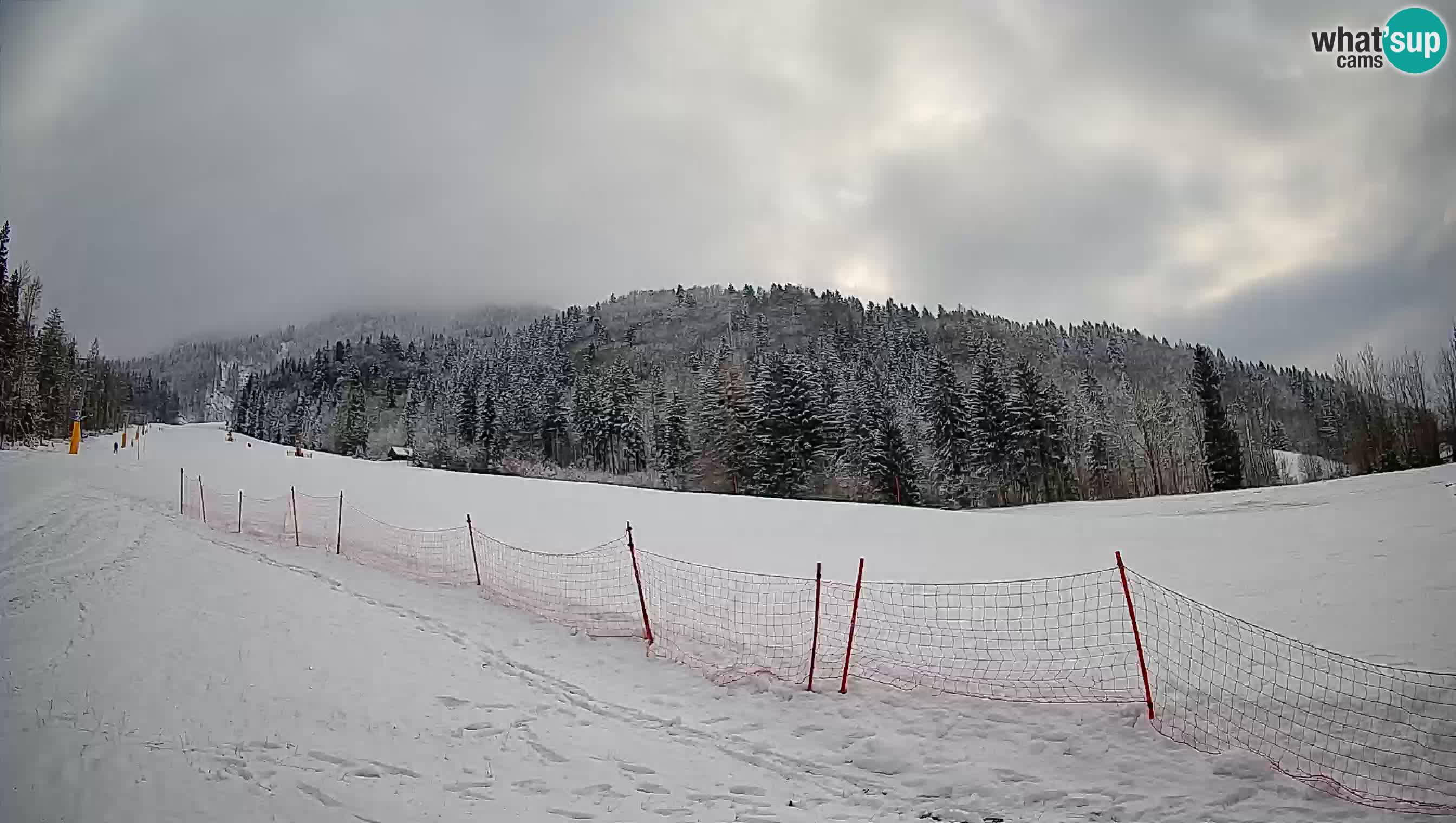 Esquí Kranjska Gora | Brsnina