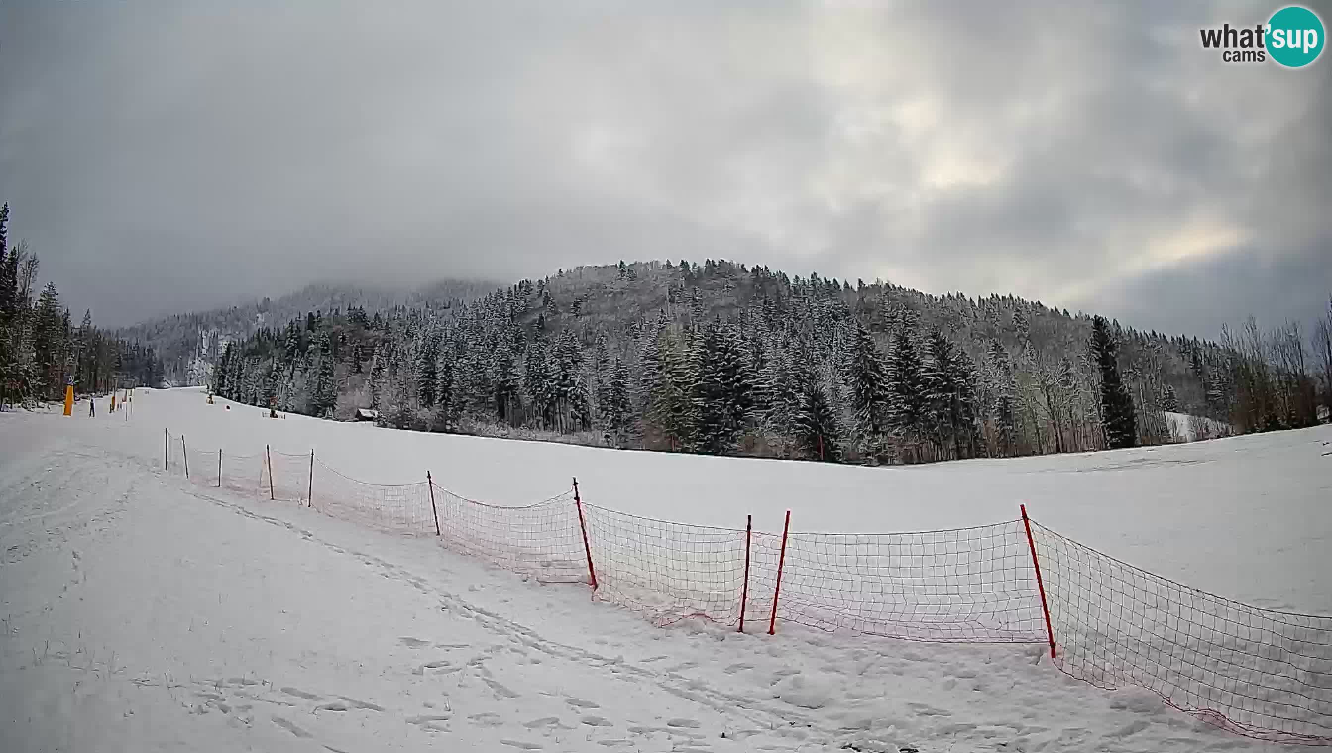 Kranjska Gora SKIJANJE | Brsnina