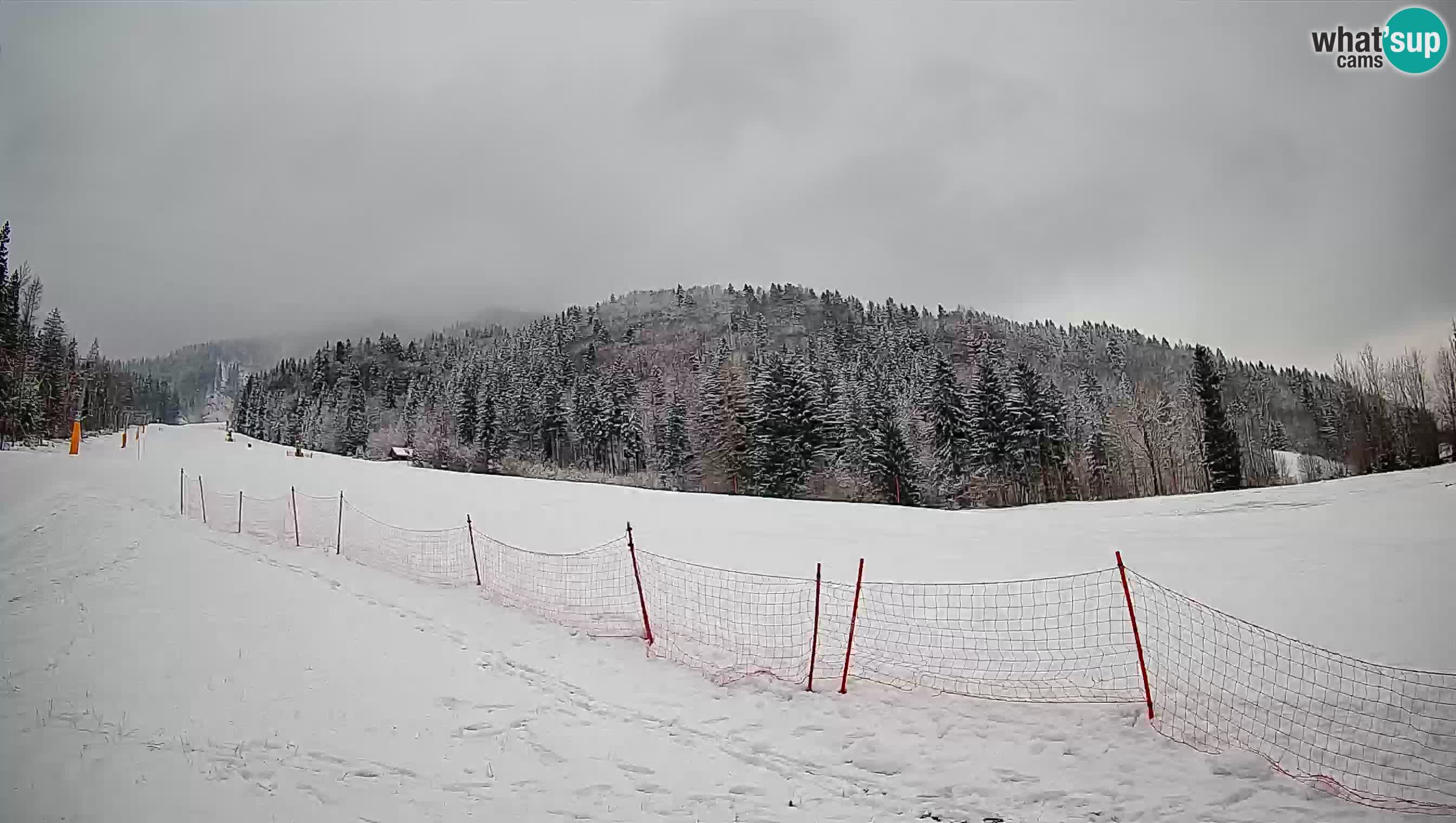 Kranjska Gora Station de ski | Brsnina