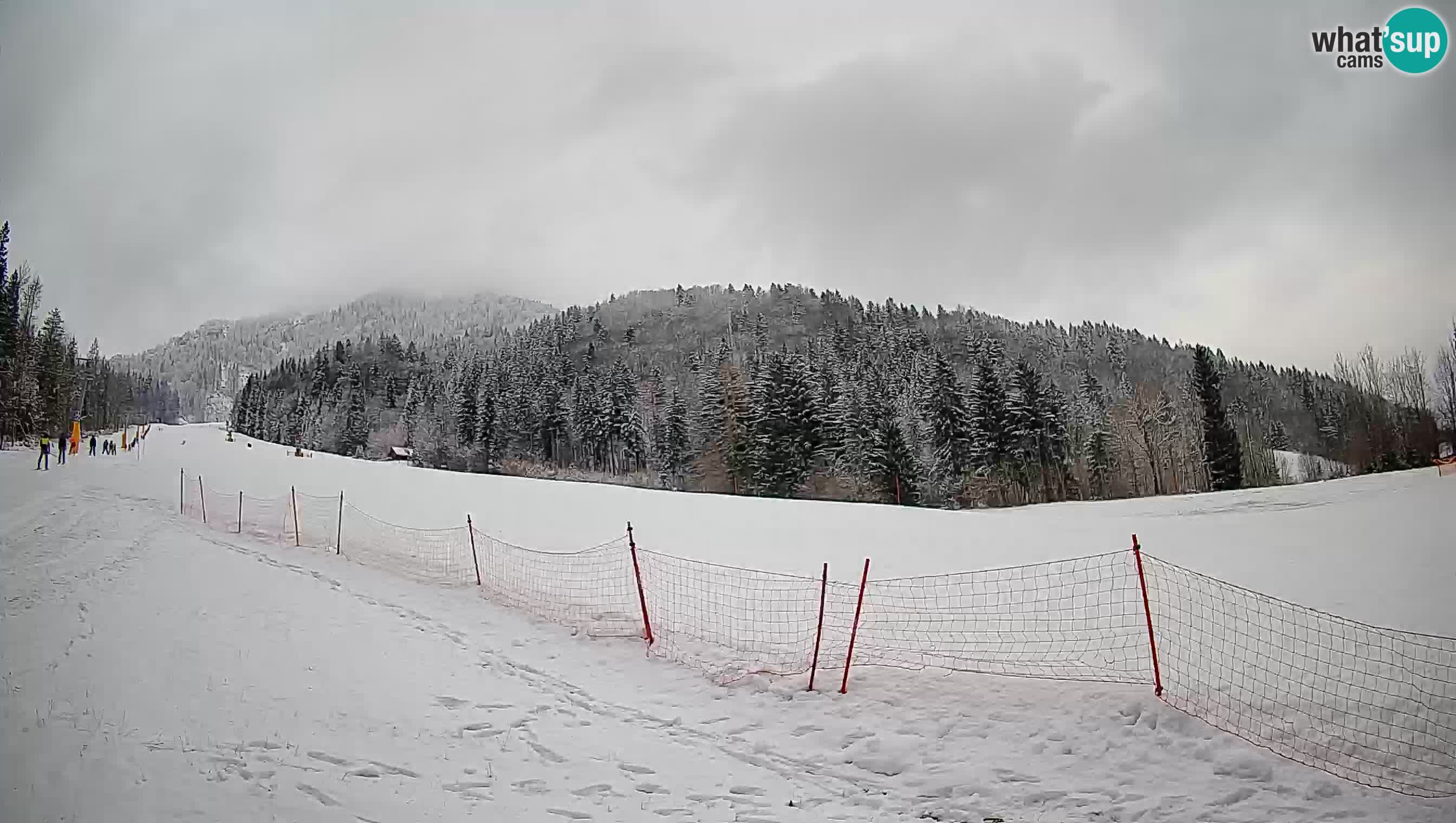 Ski Kranjska Gora | Brsnina