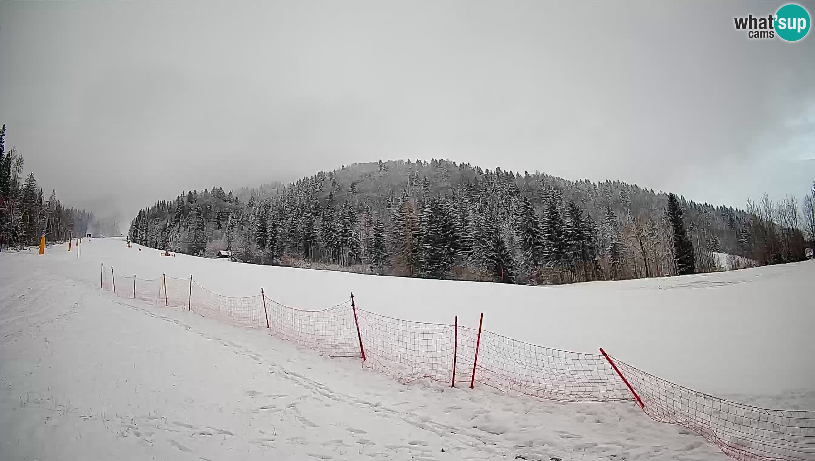 Comprensorio sciistico Kranjska Gora | Brsnina