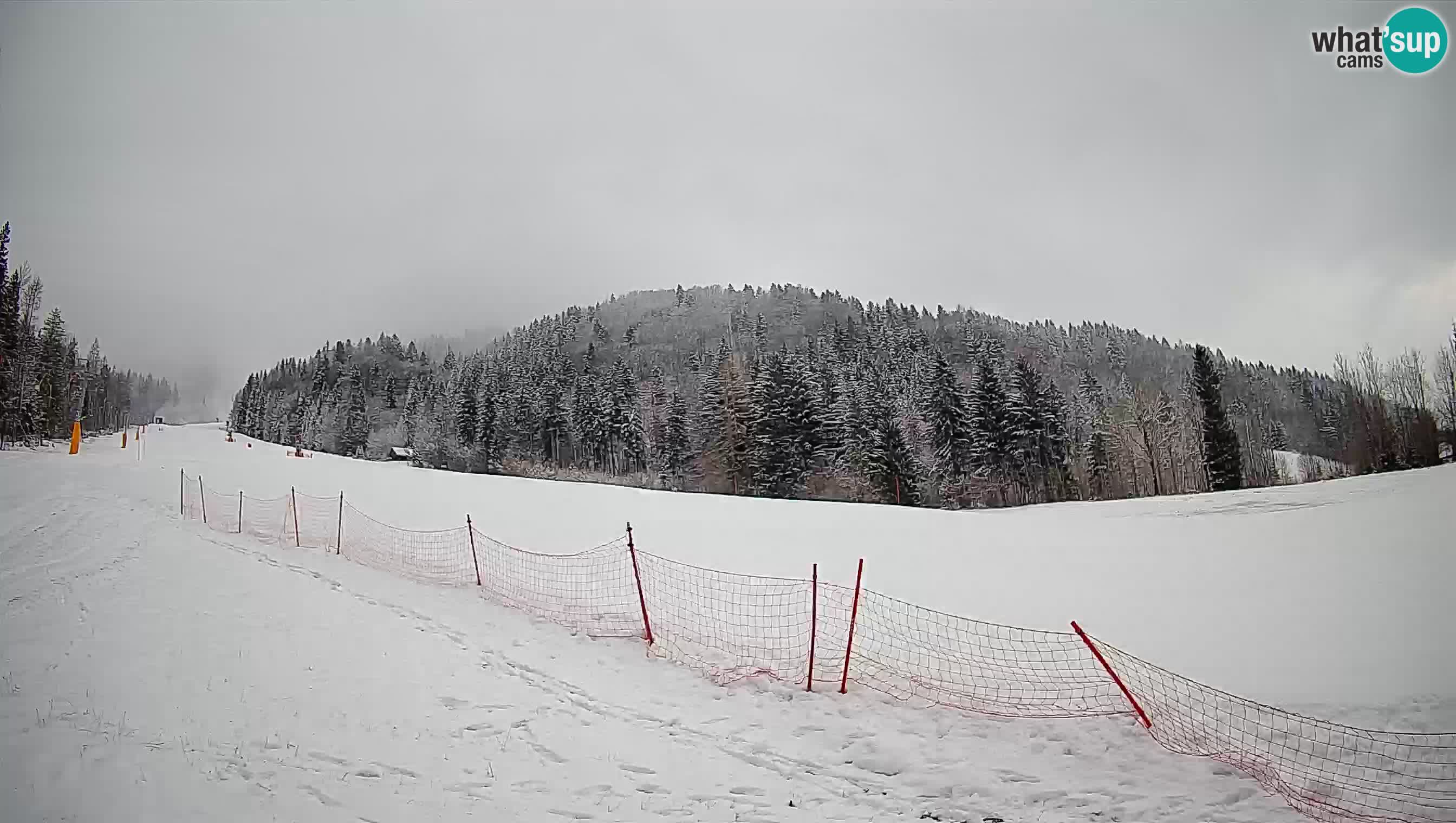 Comprensorio sciistico Kranjska Gora | Brsnina