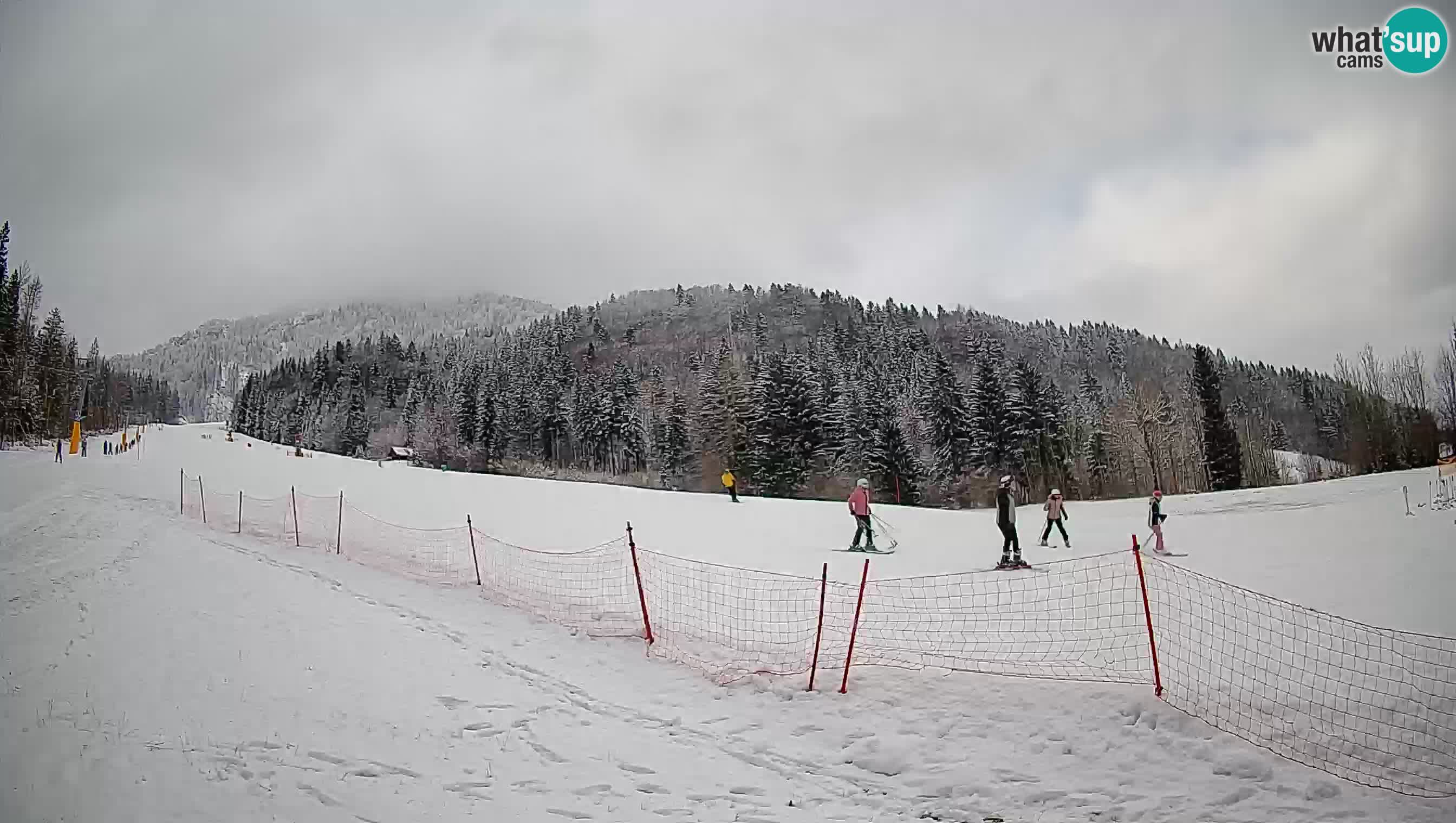 Kranjska Gora Station de ski | Brsnina