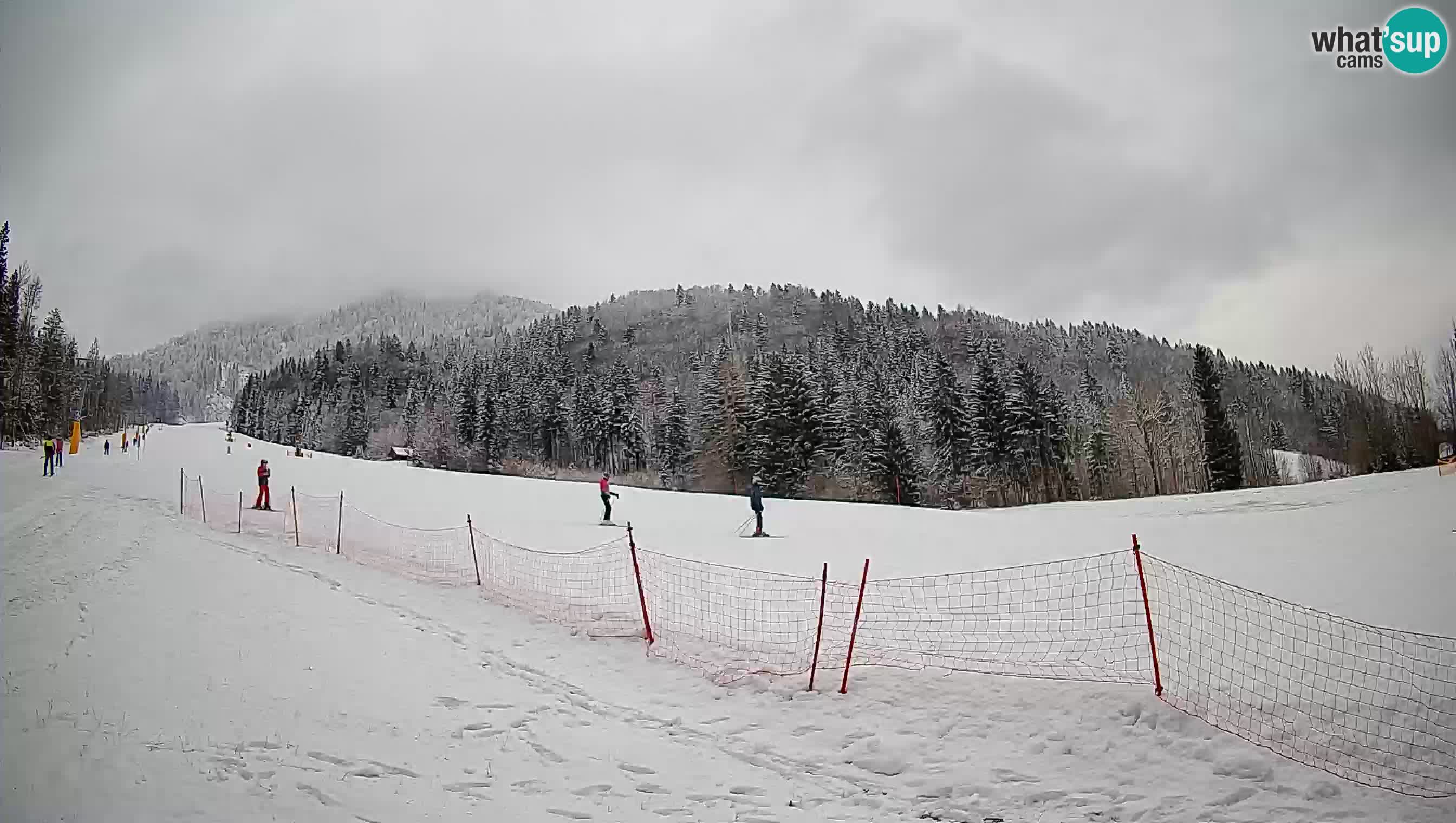 Kranjska Gora SKIJANJE | Brsnina