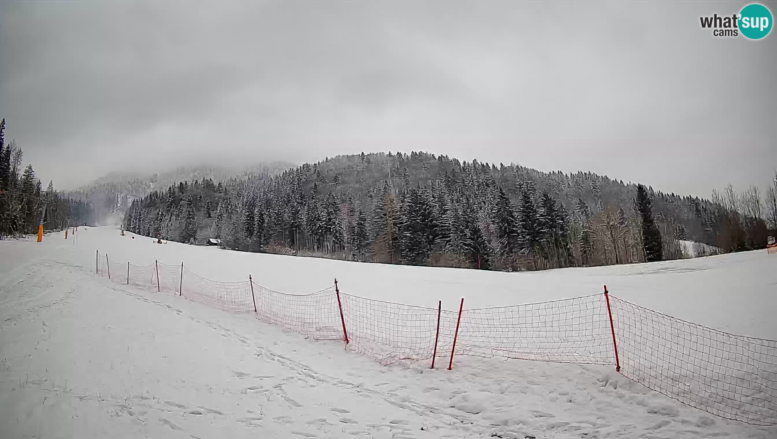 Comprensorio sciistico Kranjska Gora | Brsnina