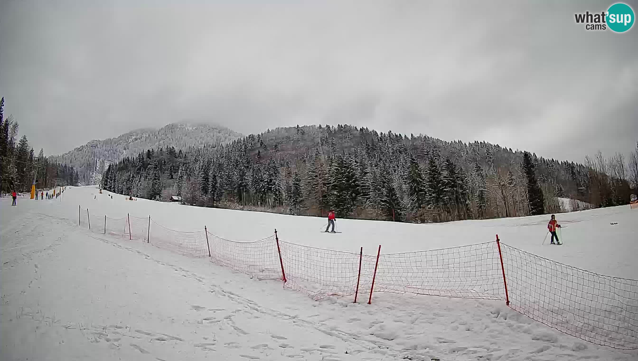 Kranjska Gora SKIJANJE | Brsnina