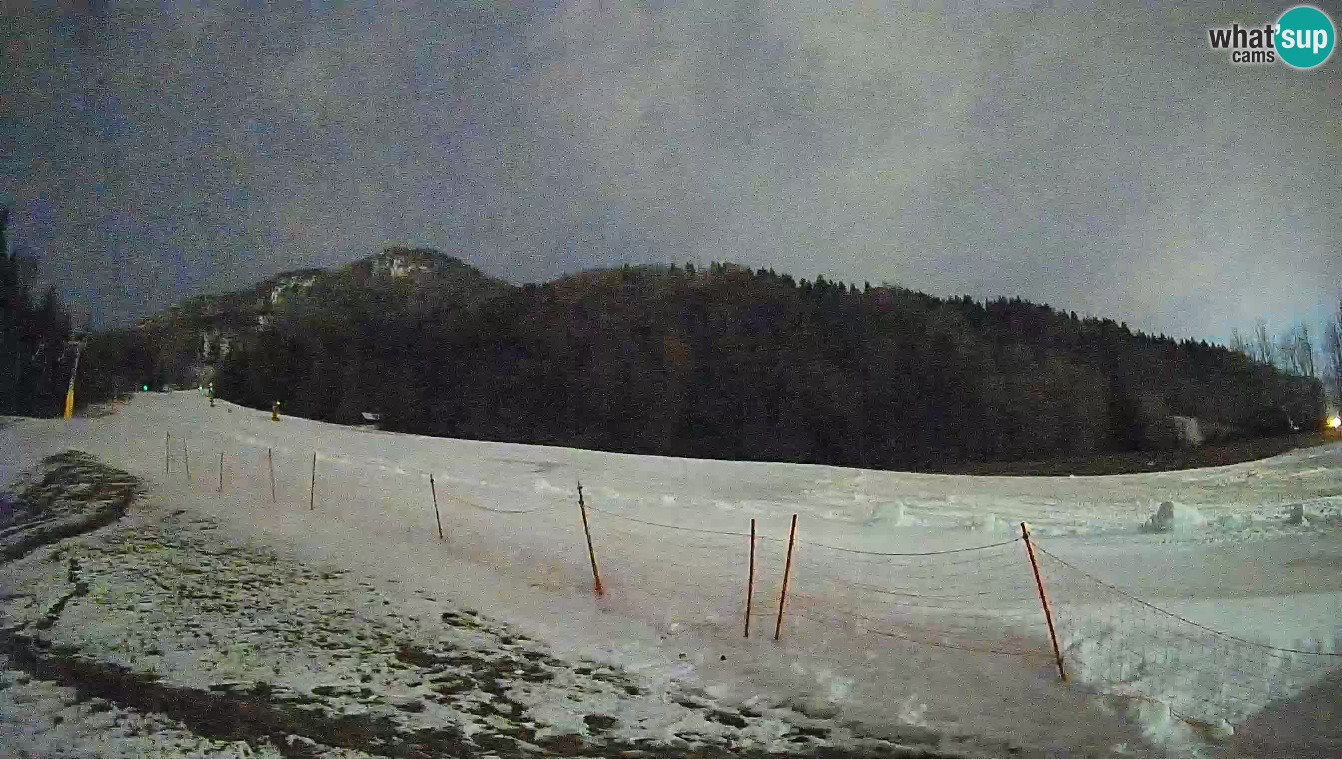 RTC Skigebiet Kranjska Gora | Brsnina