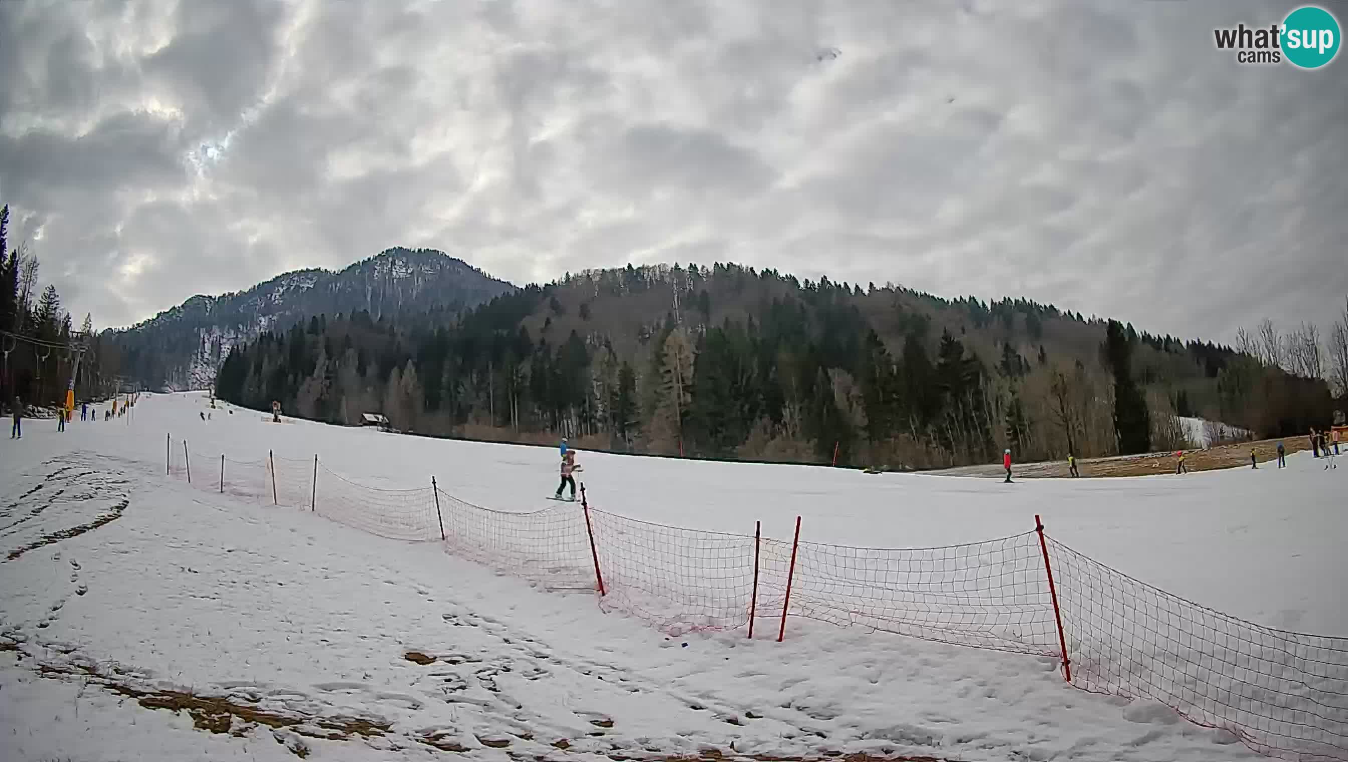 Ski Kranjska Gora | Brsnina