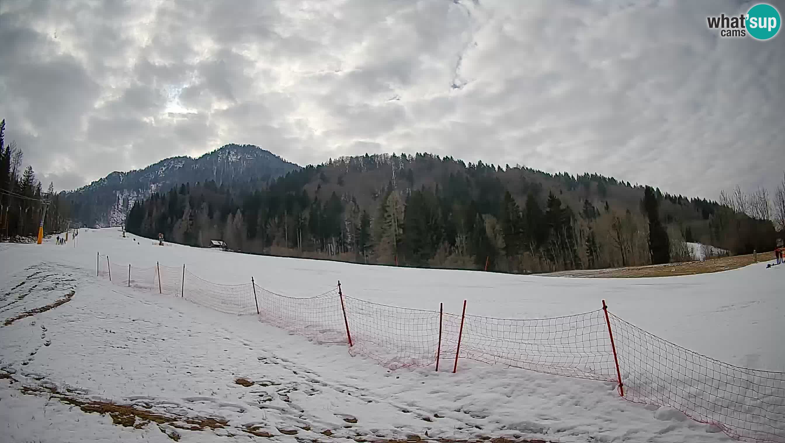 Kranjska Gora Station de ski | Brsnina