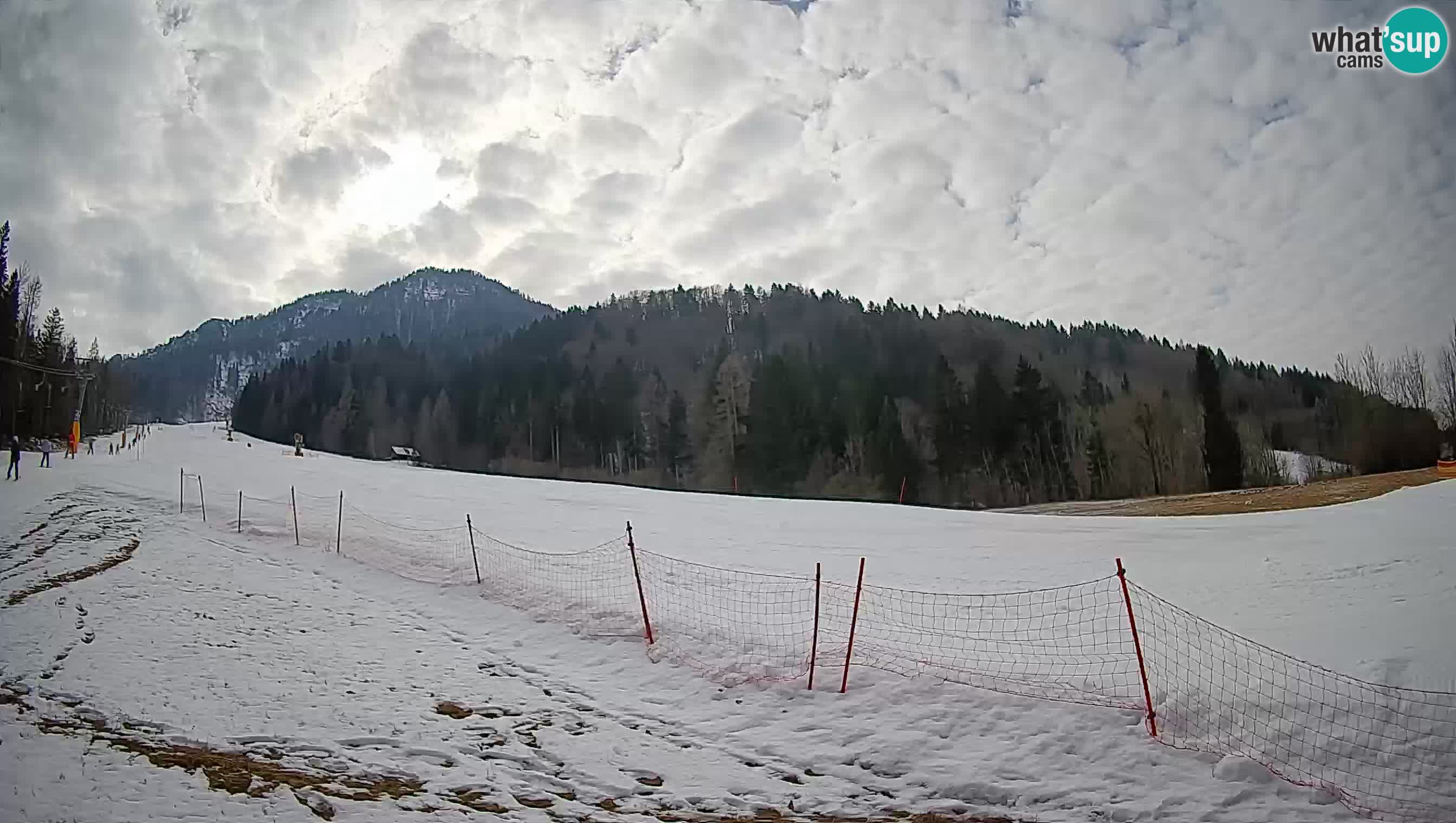 Kranjska Gora Station de ski | Brsnina