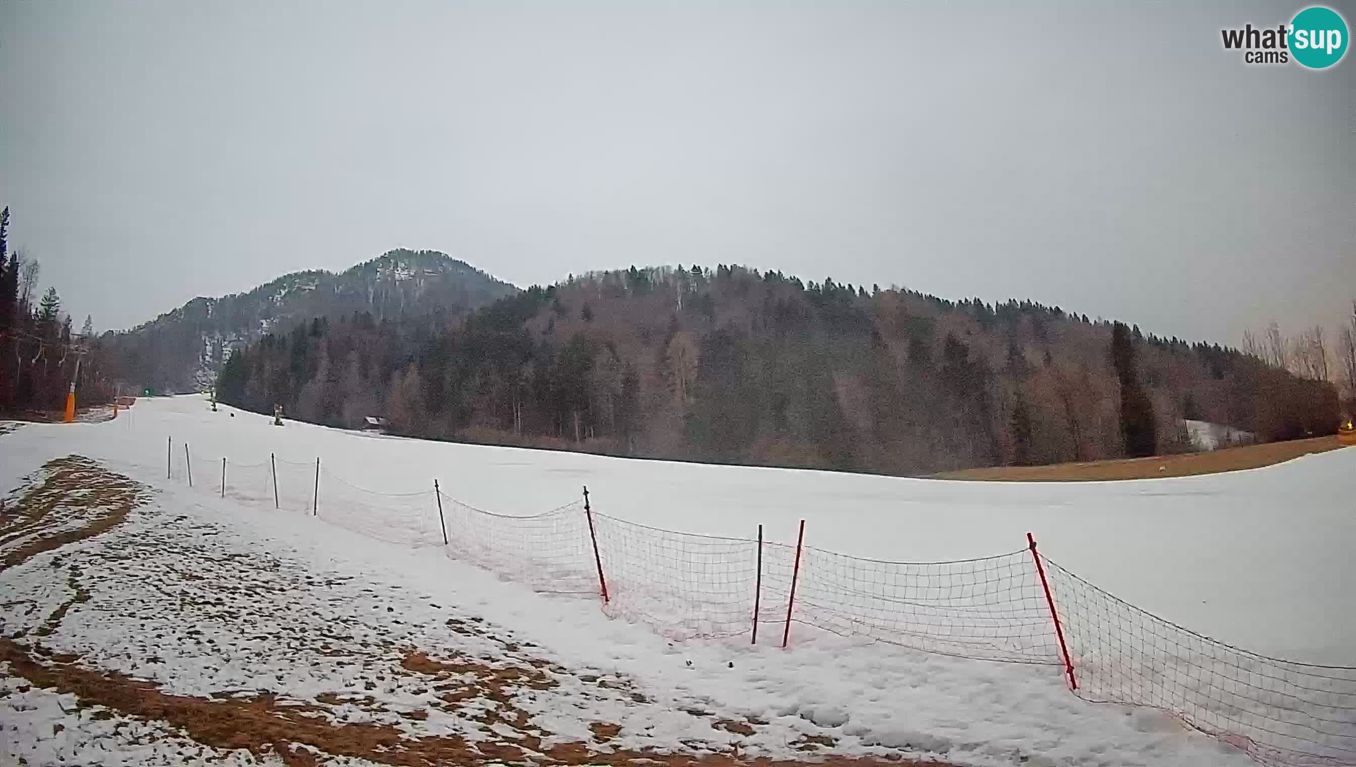 Kranjska Gora SKIJANJE | Brsnina