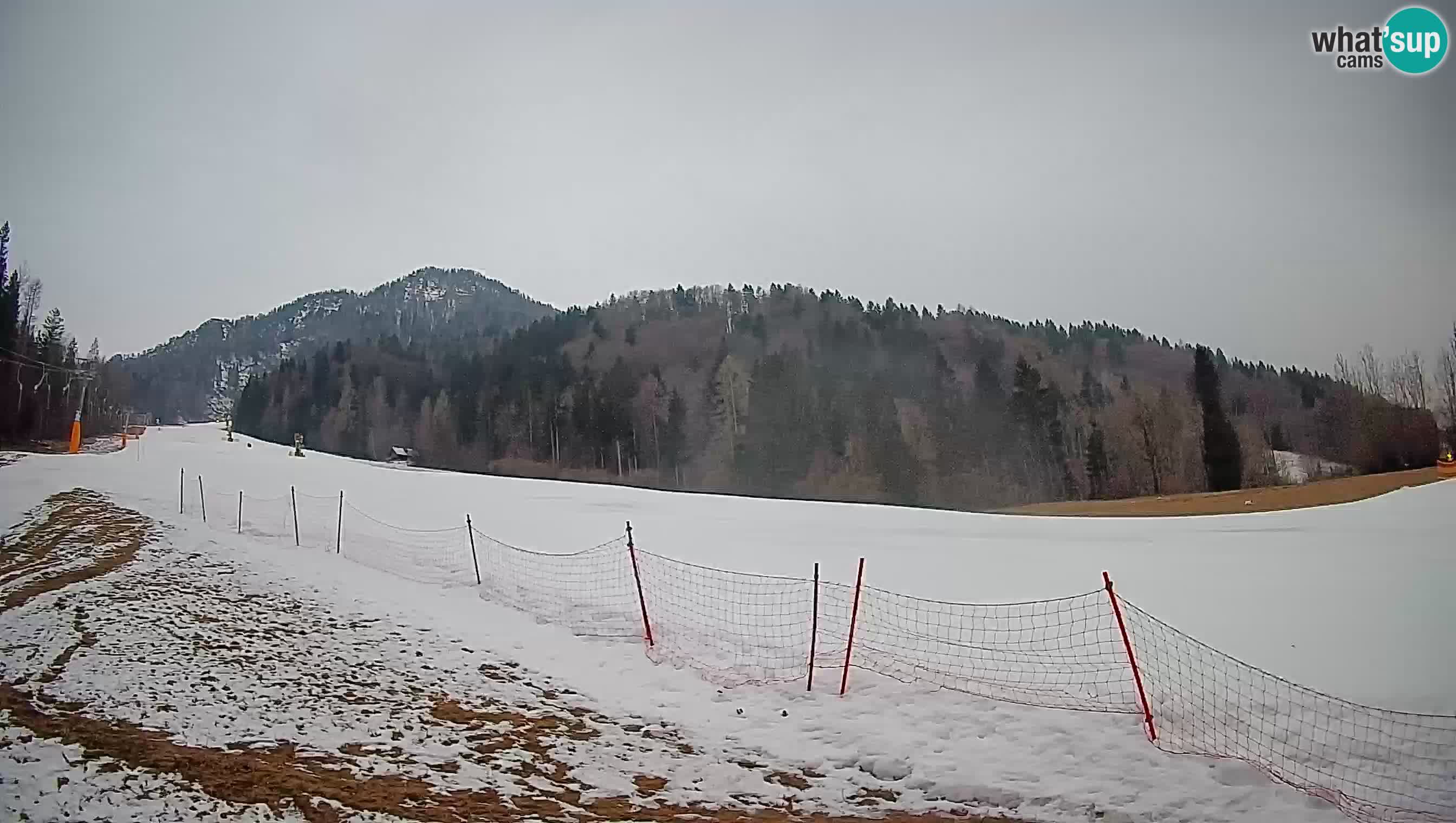 Kranjska Gora Station de ski | Brsnina