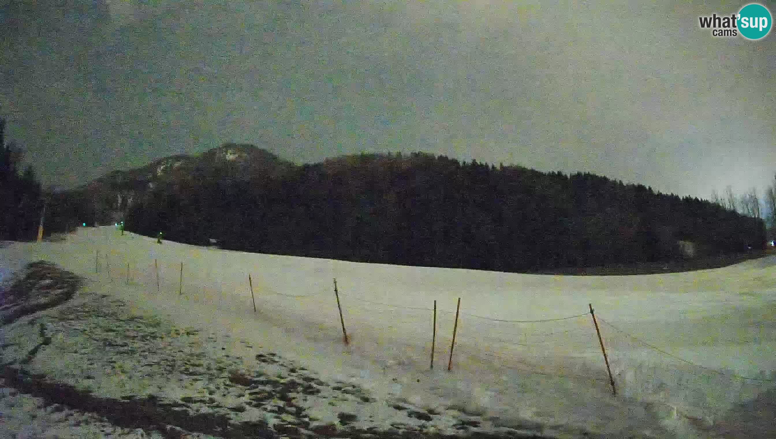 RTC Skigebiet Kranjska Gora | Brsnina