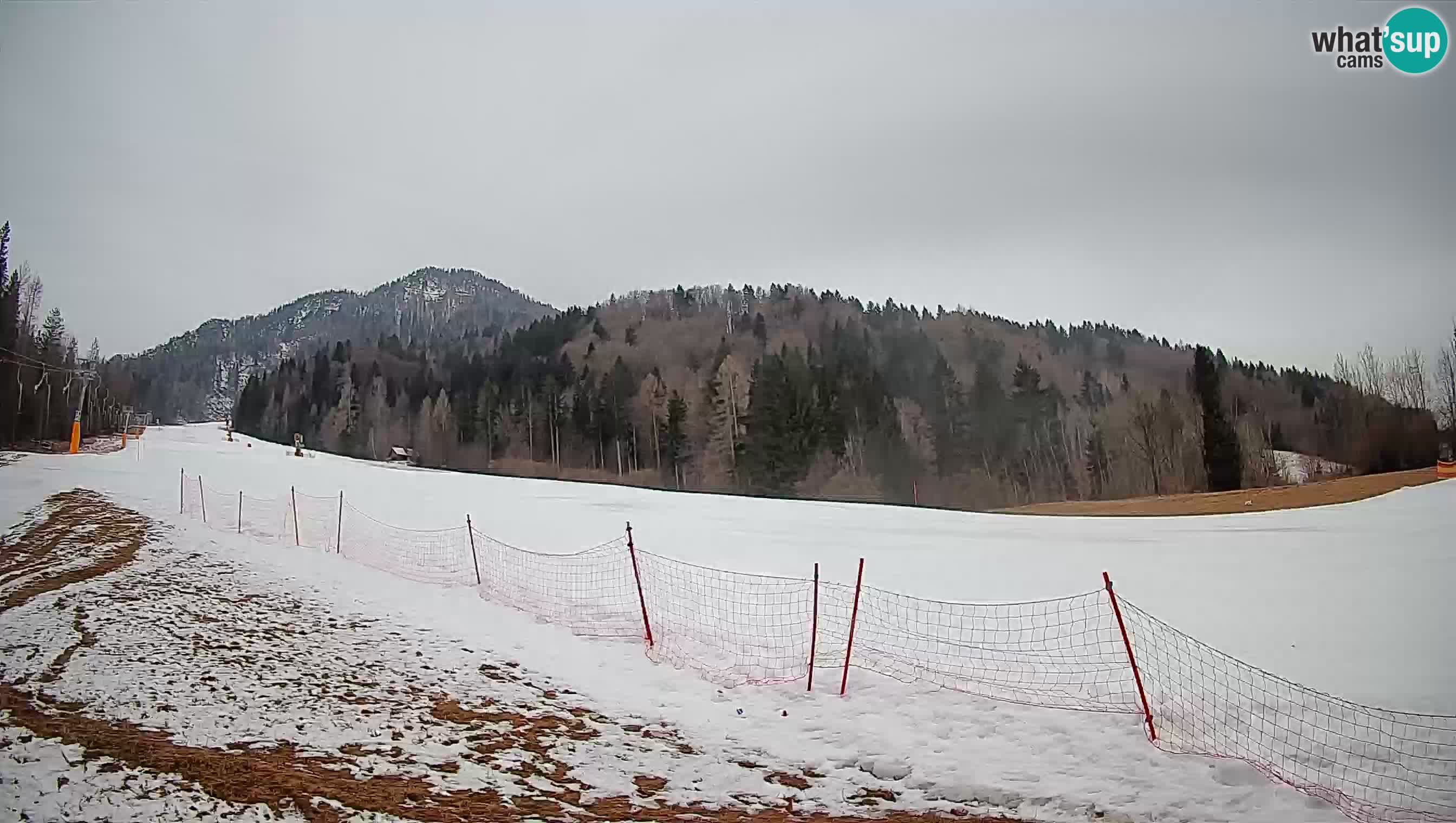 Ski Kranjska Gora | Brsnina