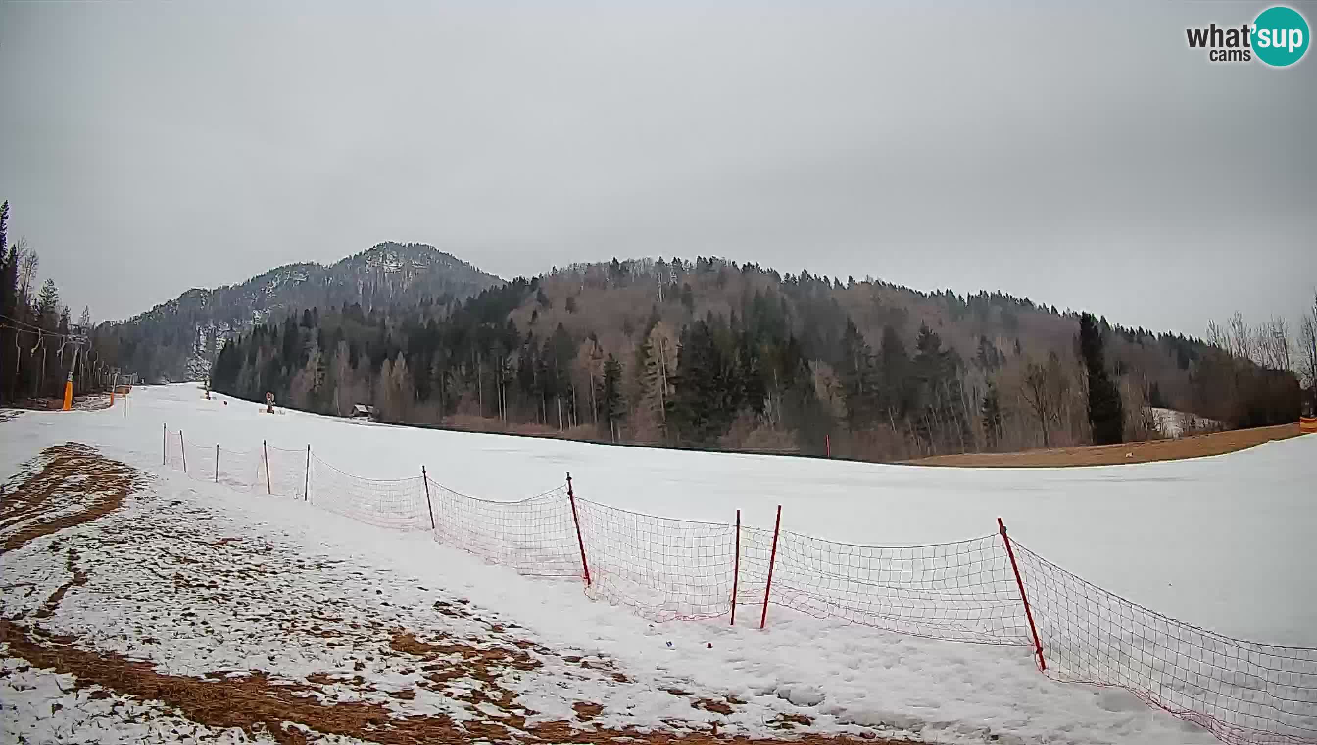 Ski Kranjska Gora | Brsnina