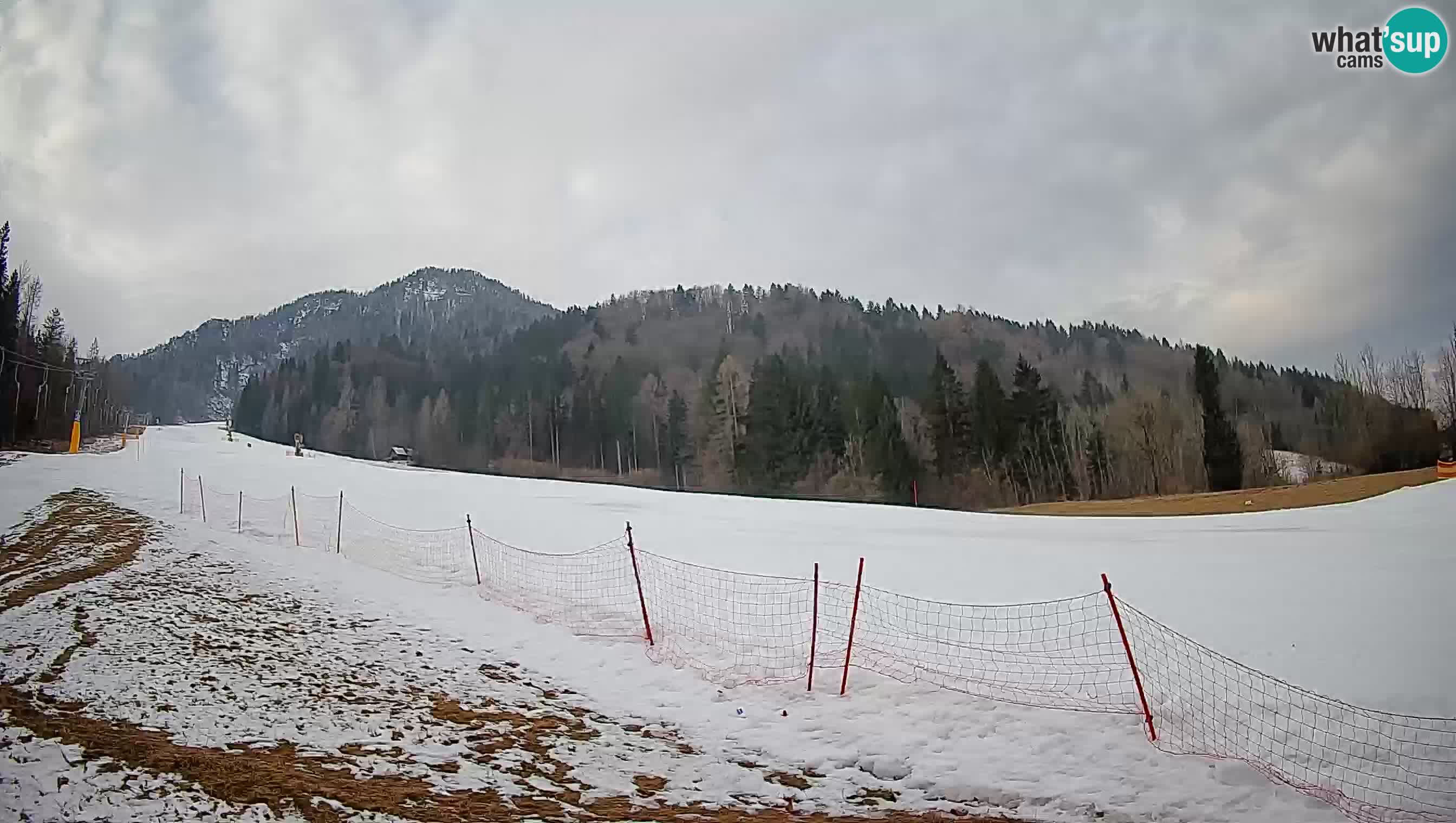 Esquí Kranjska Gora | Brsnina