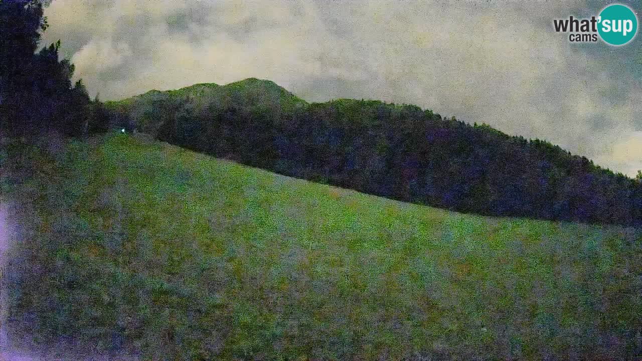 Esquí Kranjska Gora | Brsnina