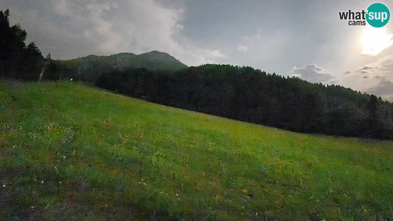 Esquí Kranjska Gora | Brsnina