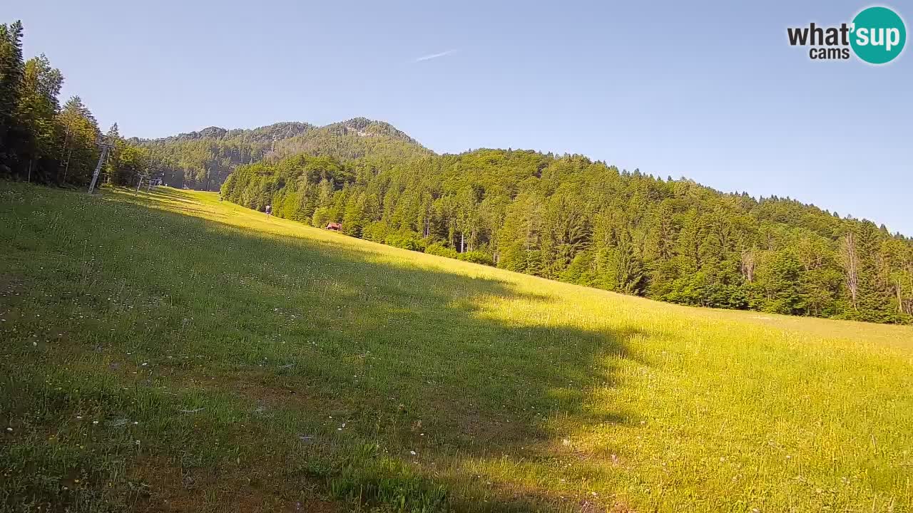 Esquí Kranjska Gora | Brsnina