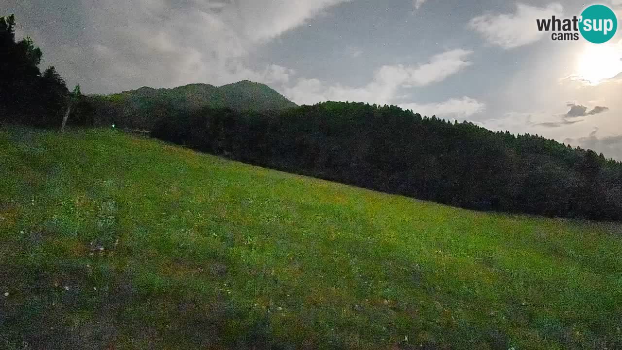 Esquí Kranjska Gora | Brsnina
