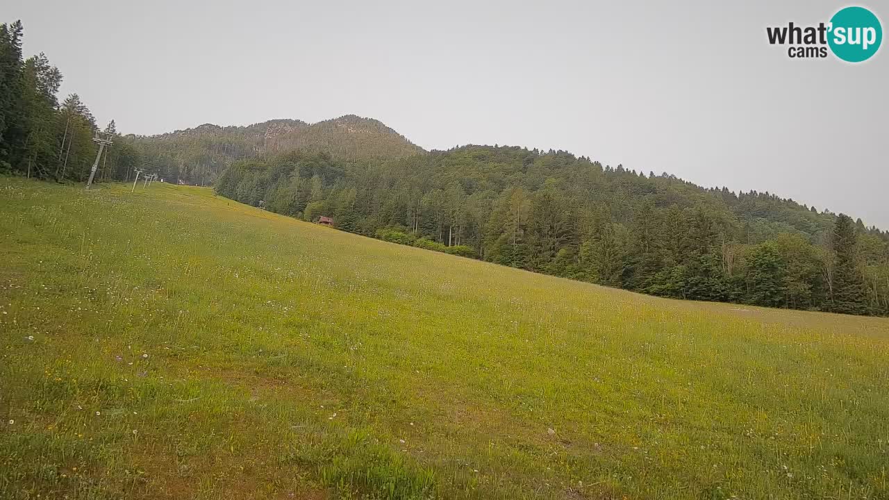 Kranjska Gora Station de ski | Brsnina