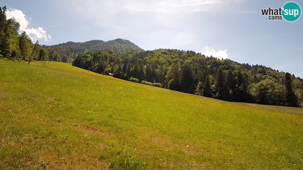 Ski Kranjska Gora | Brsnina