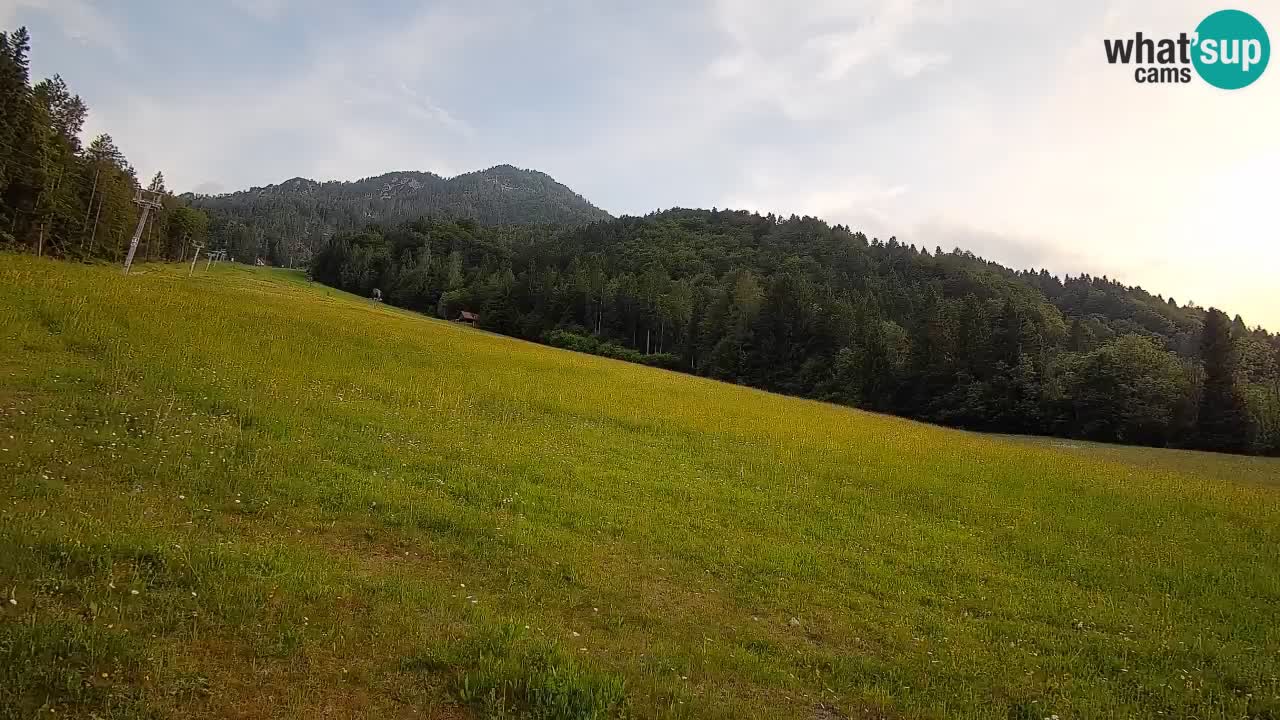 Ski Kranjska Gora | Brsnina