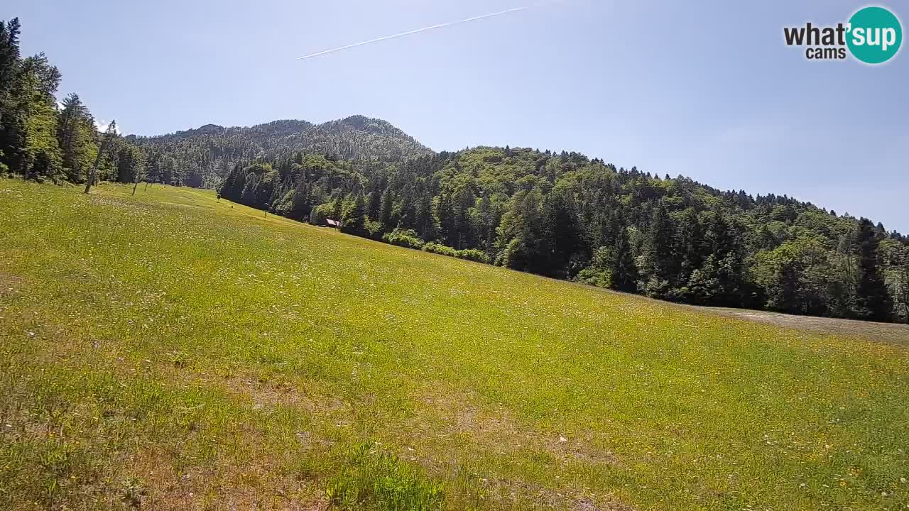 RTC Skigebiet Kranjska Gora | Brsnina