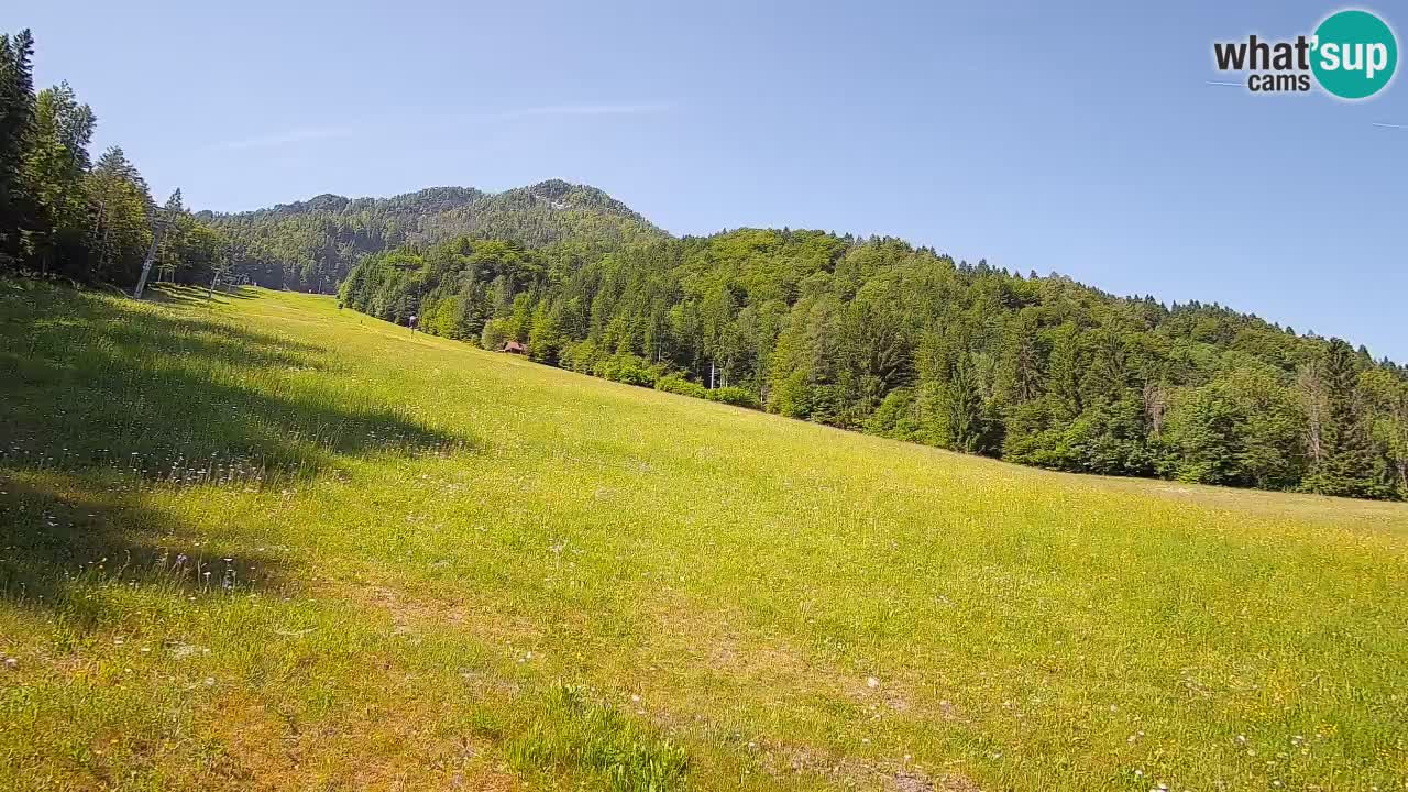 Ski Kranjska Gora | Brsnina