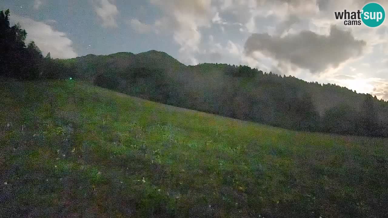 Ski Kranjska Gora | Brsnina