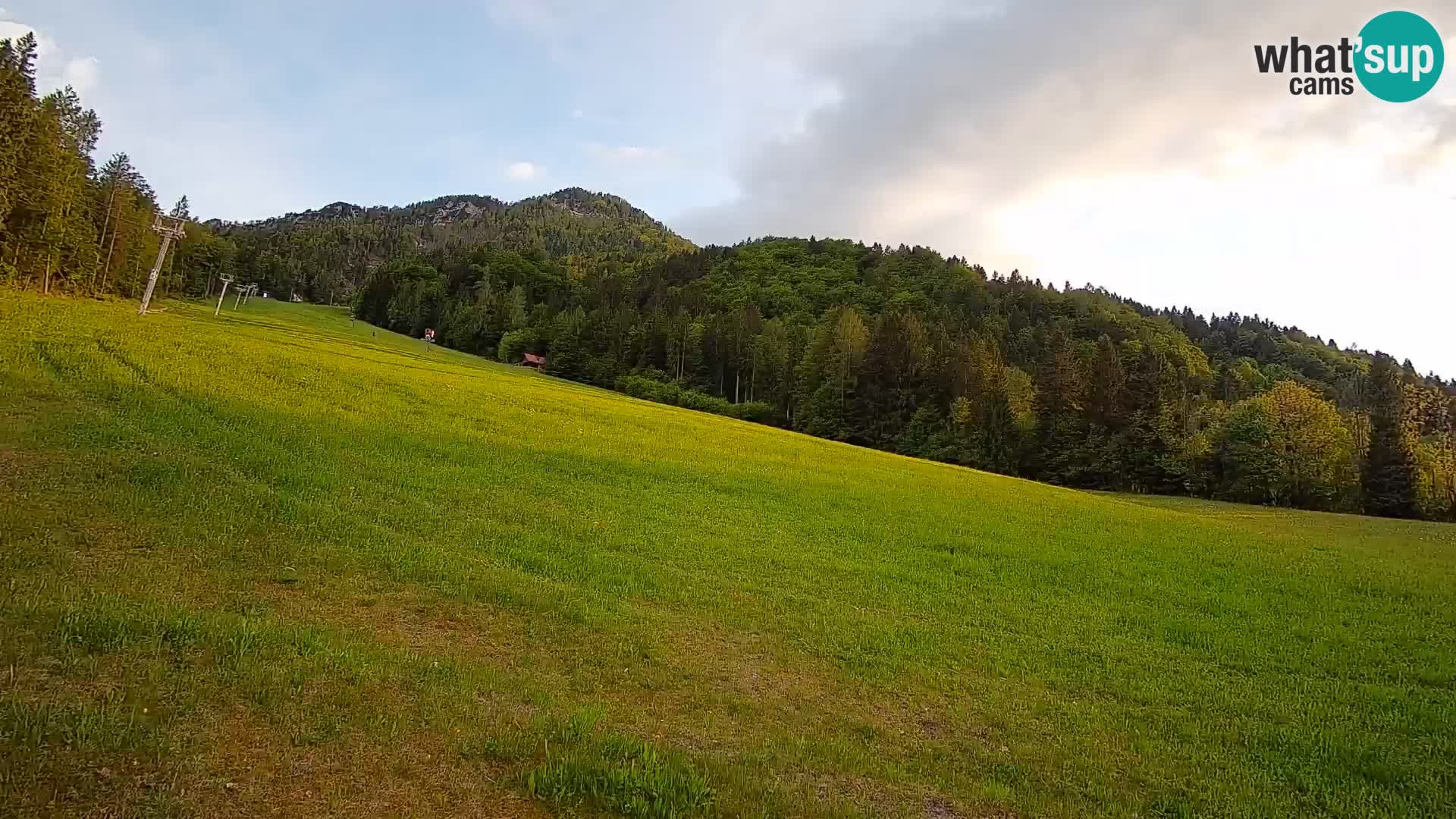 Ski Kranjska Gora | Brsnina