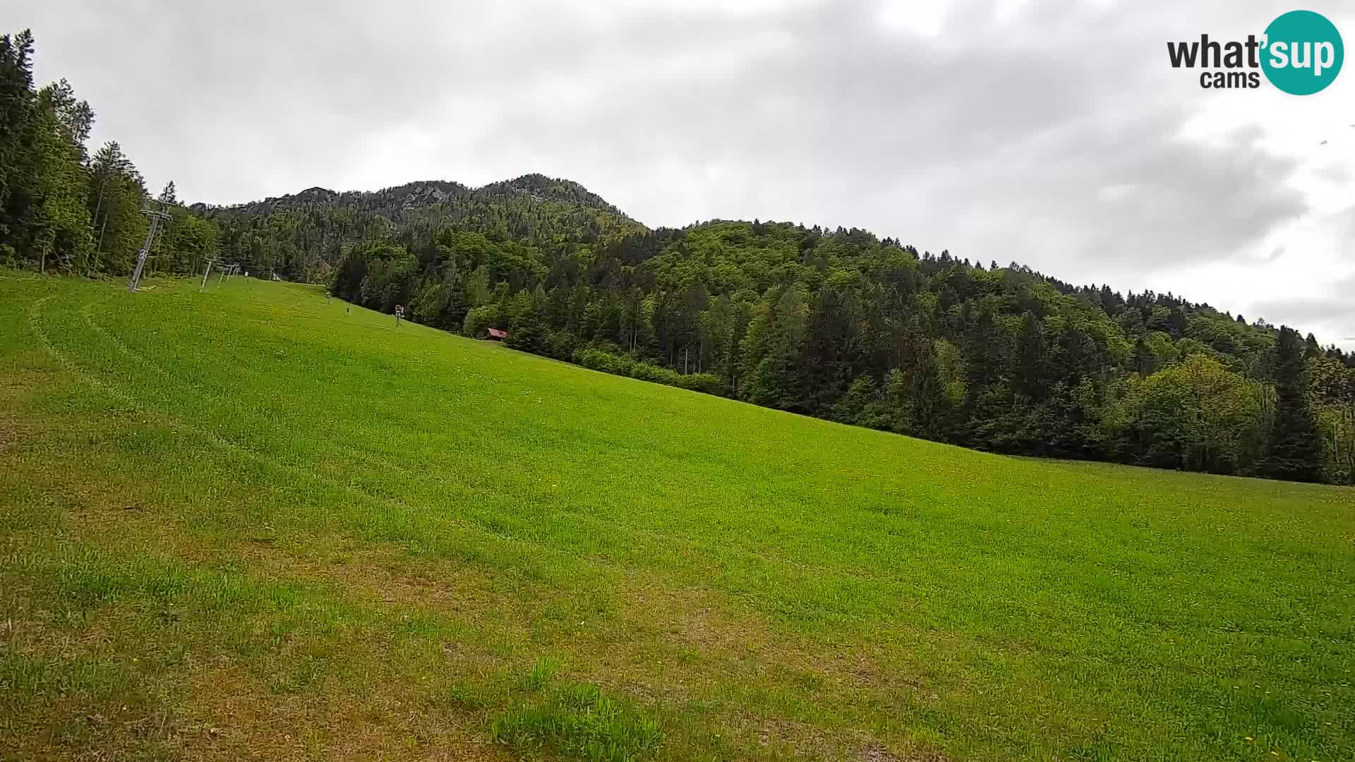 RTC Skigebiet Kranjska Gora | Brsnina