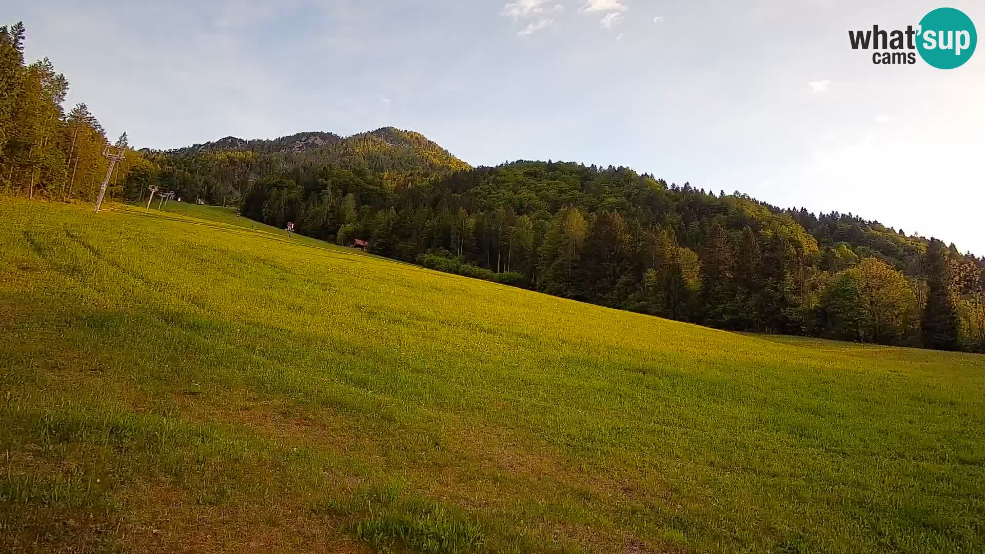 Comprensorio sciistico Kranjska Gora | Brsnina