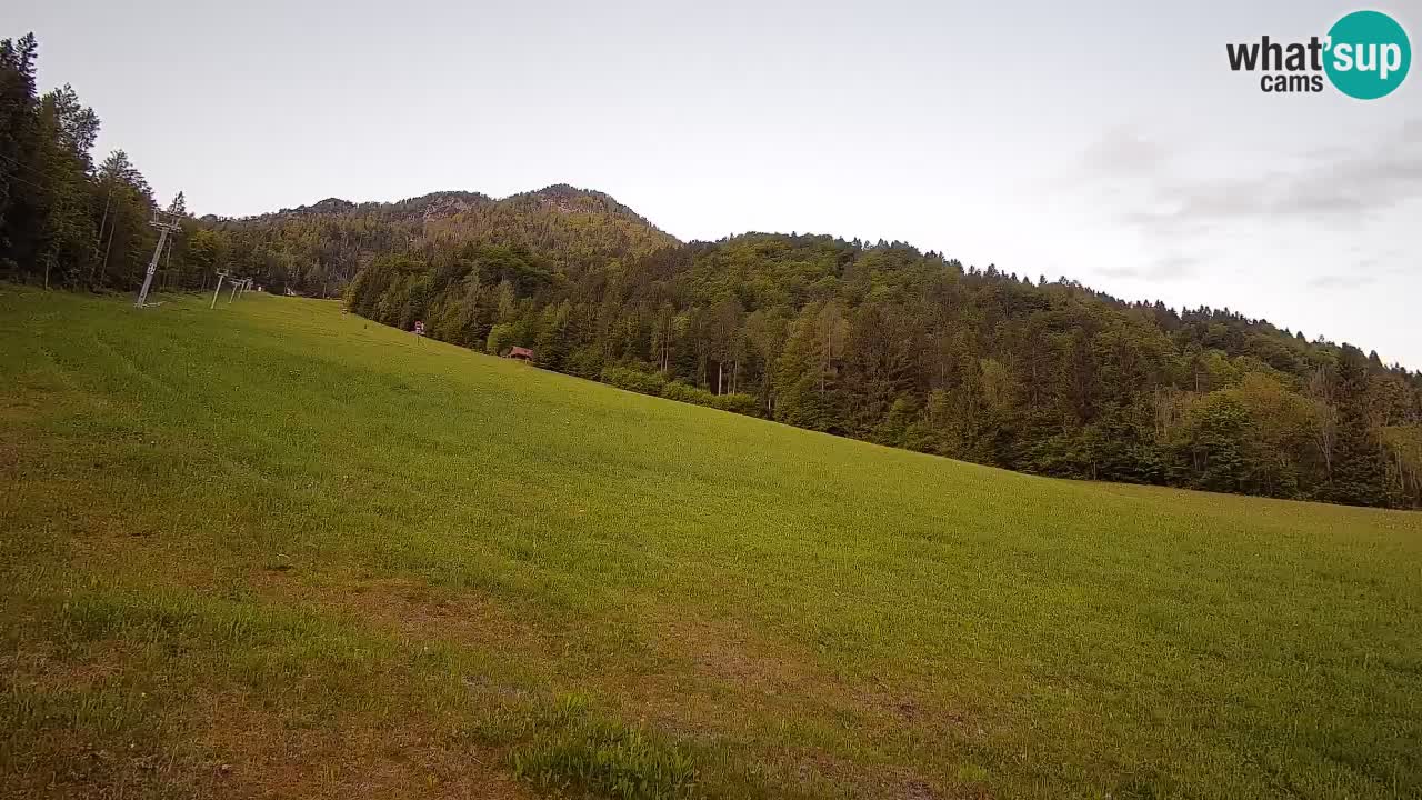 Kranjska Gora SKIJANJE | Brsnina