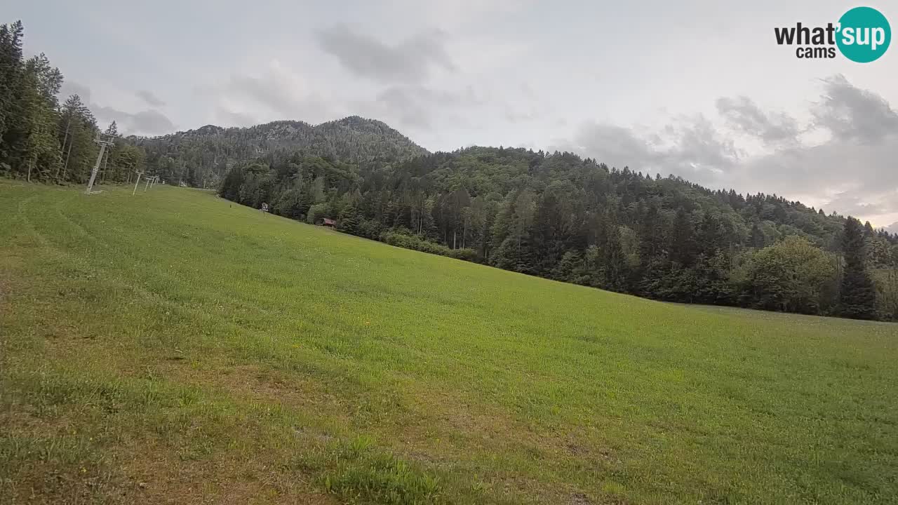 Ski Kranjska Gora | Brsnina