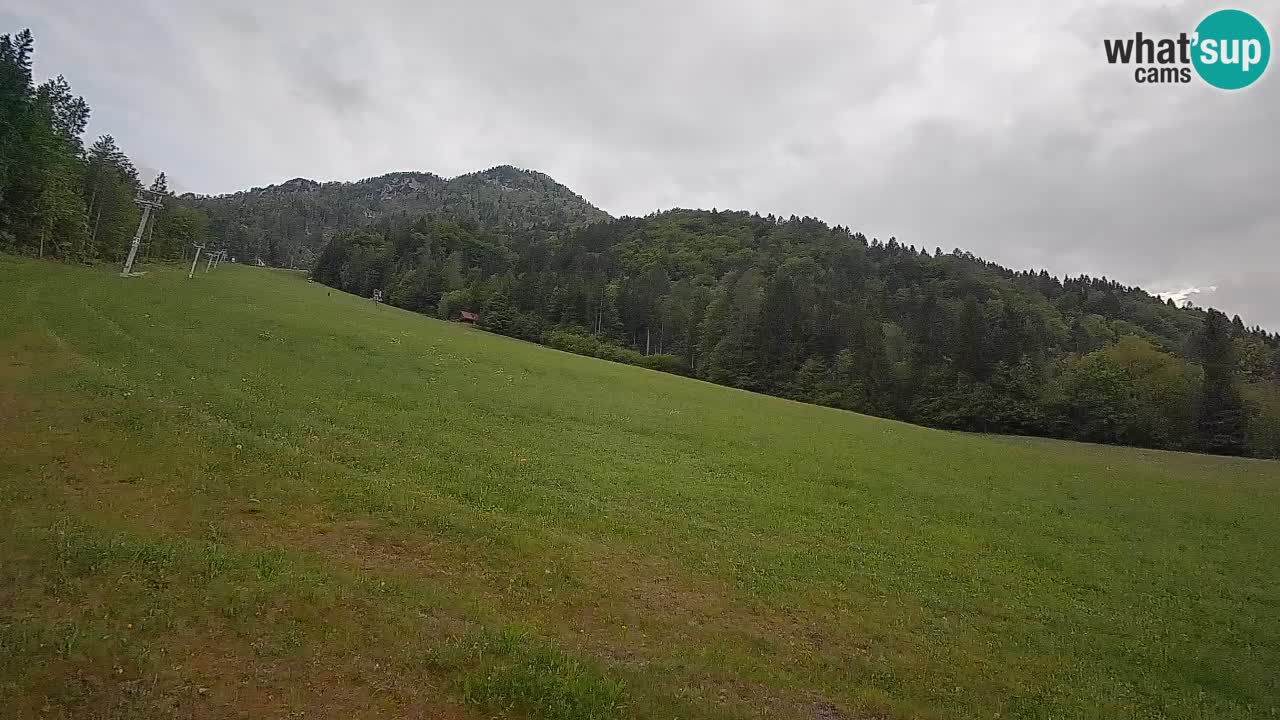 Kranjska Gora Station de ski | Brsnina